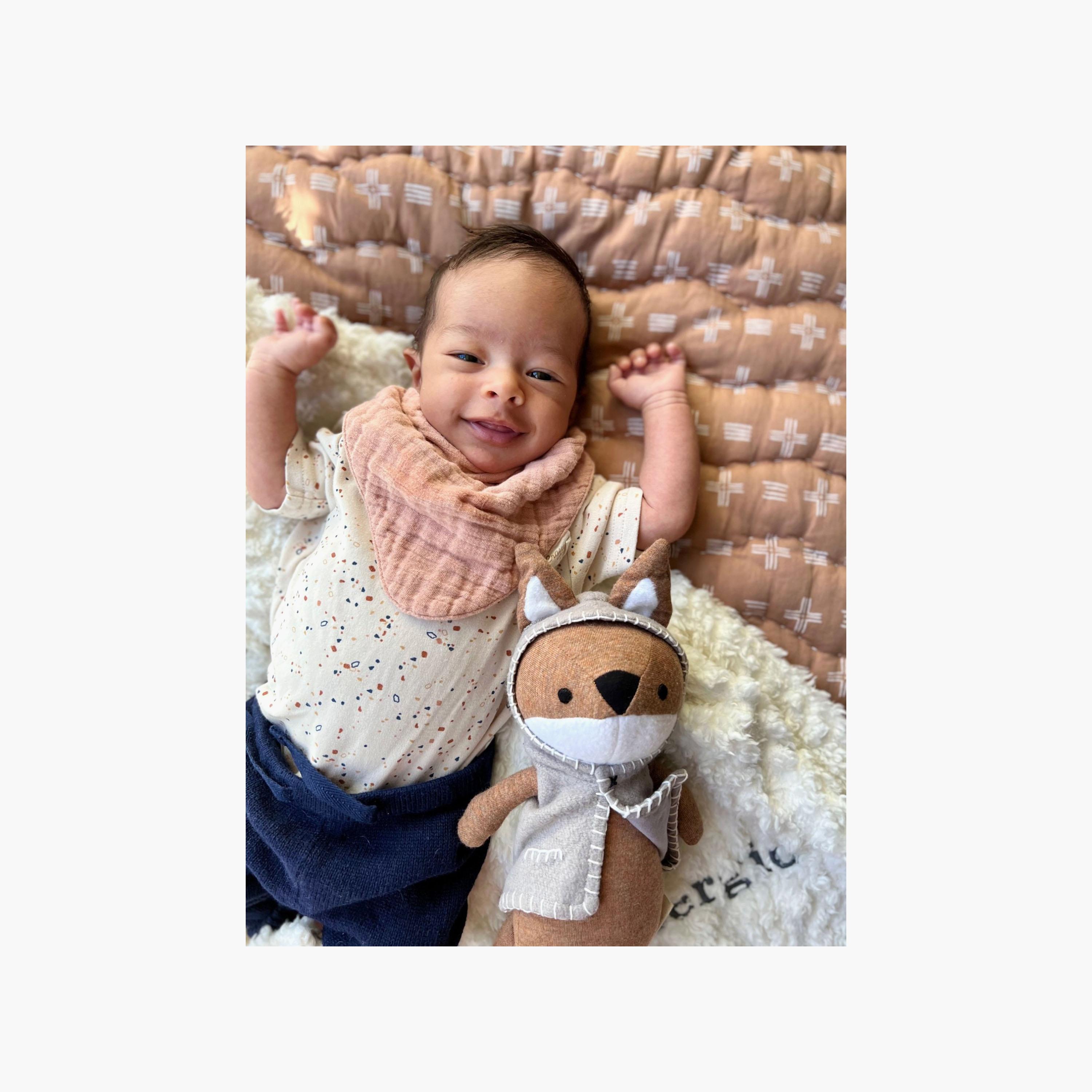 مريلة موسلين ماصة للأطفال 3 قطع من كرين بيبي-baby-feeding-bibs-image-3
