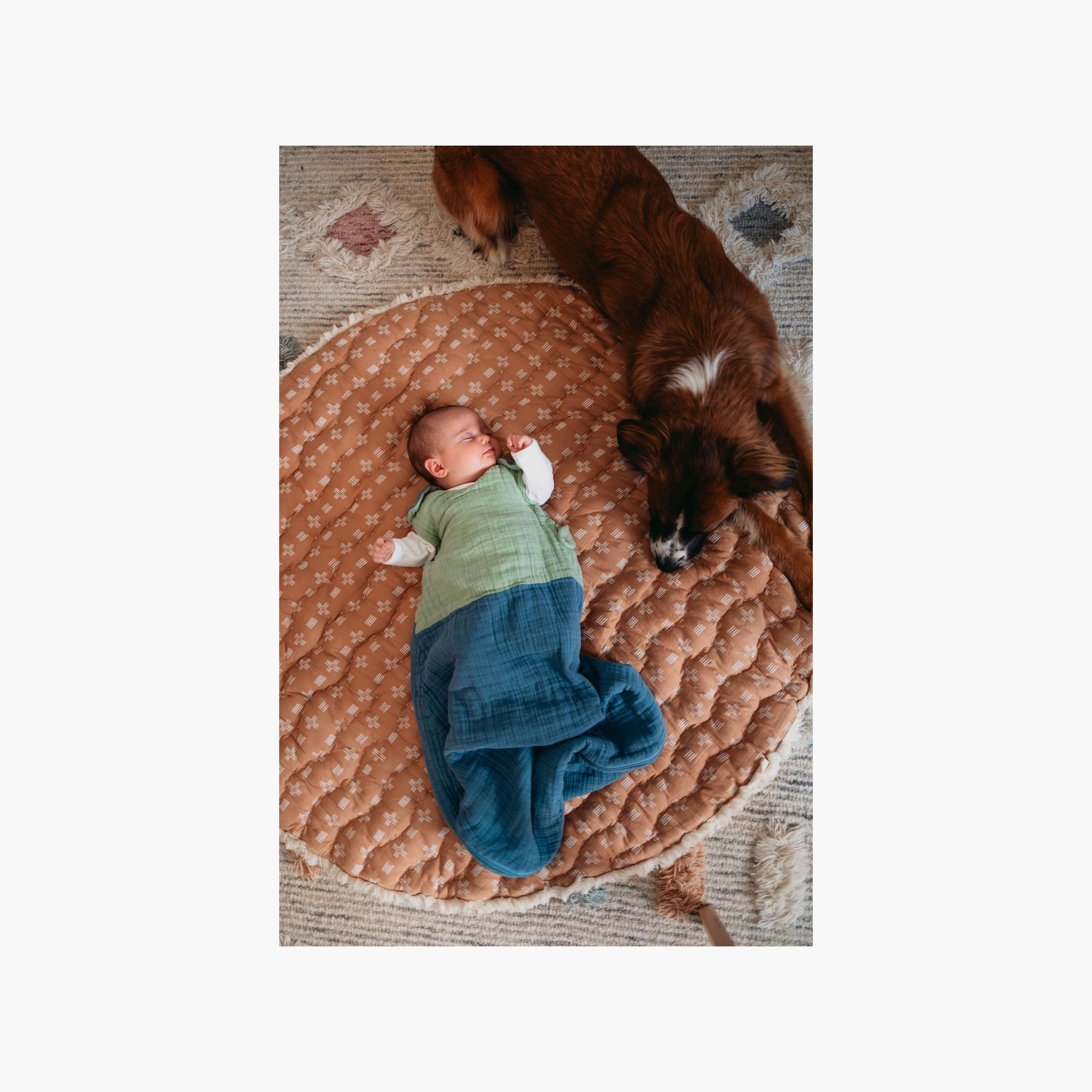 بطانية قابلة للارتداء للأطفال مع جدول تقييم TOG من 0-9 أشهر من كرين بيبي-baby-nursery-blanketsandswaddles-swaddlesandsleepingbags-image-4