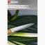 Bergner Natural Slicing Knife-household-kitchen-kitchentoolsandutensils-knives-image-4