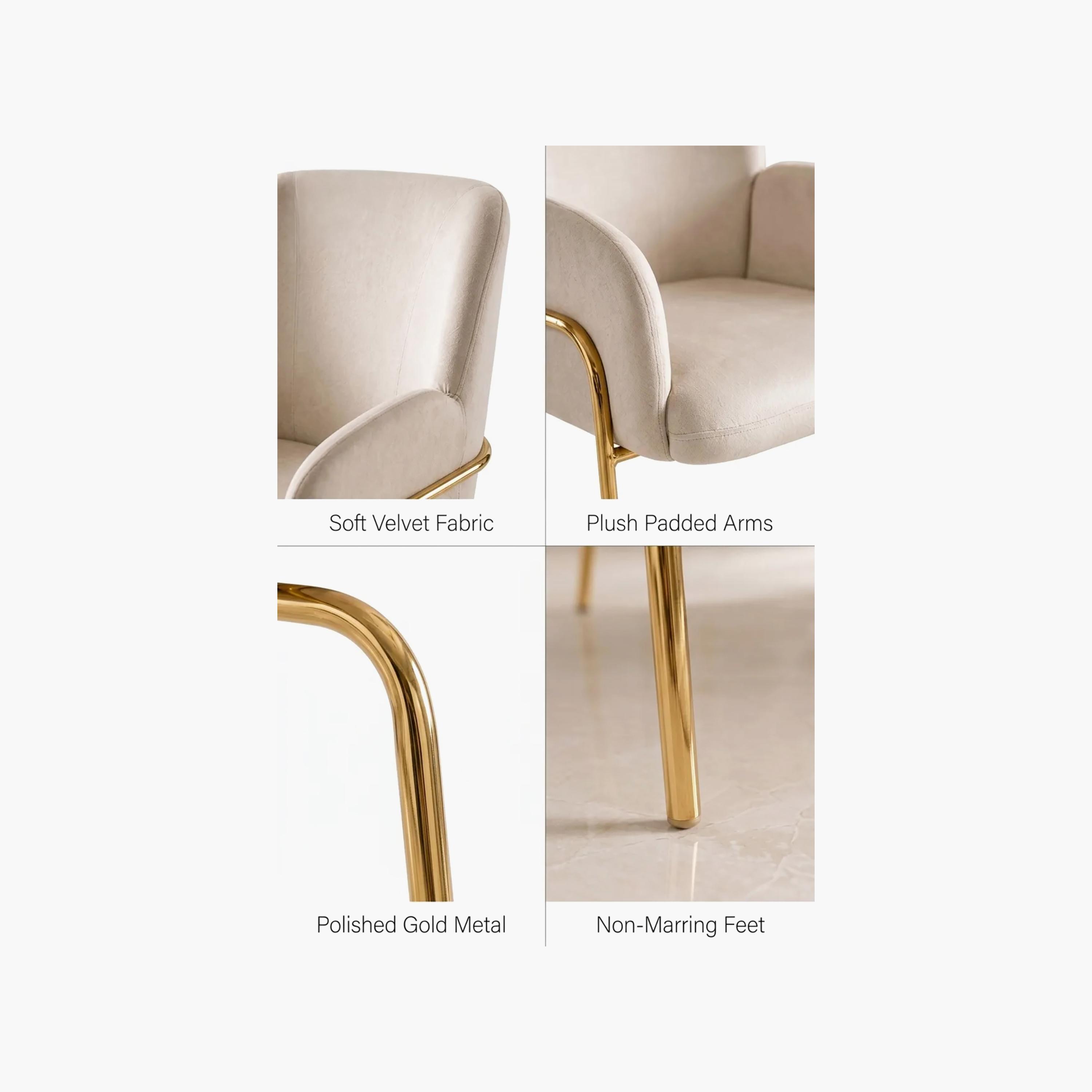 Maria Homes Padded Arm Chair-furniture-sofaandseating-armchairs-image-3