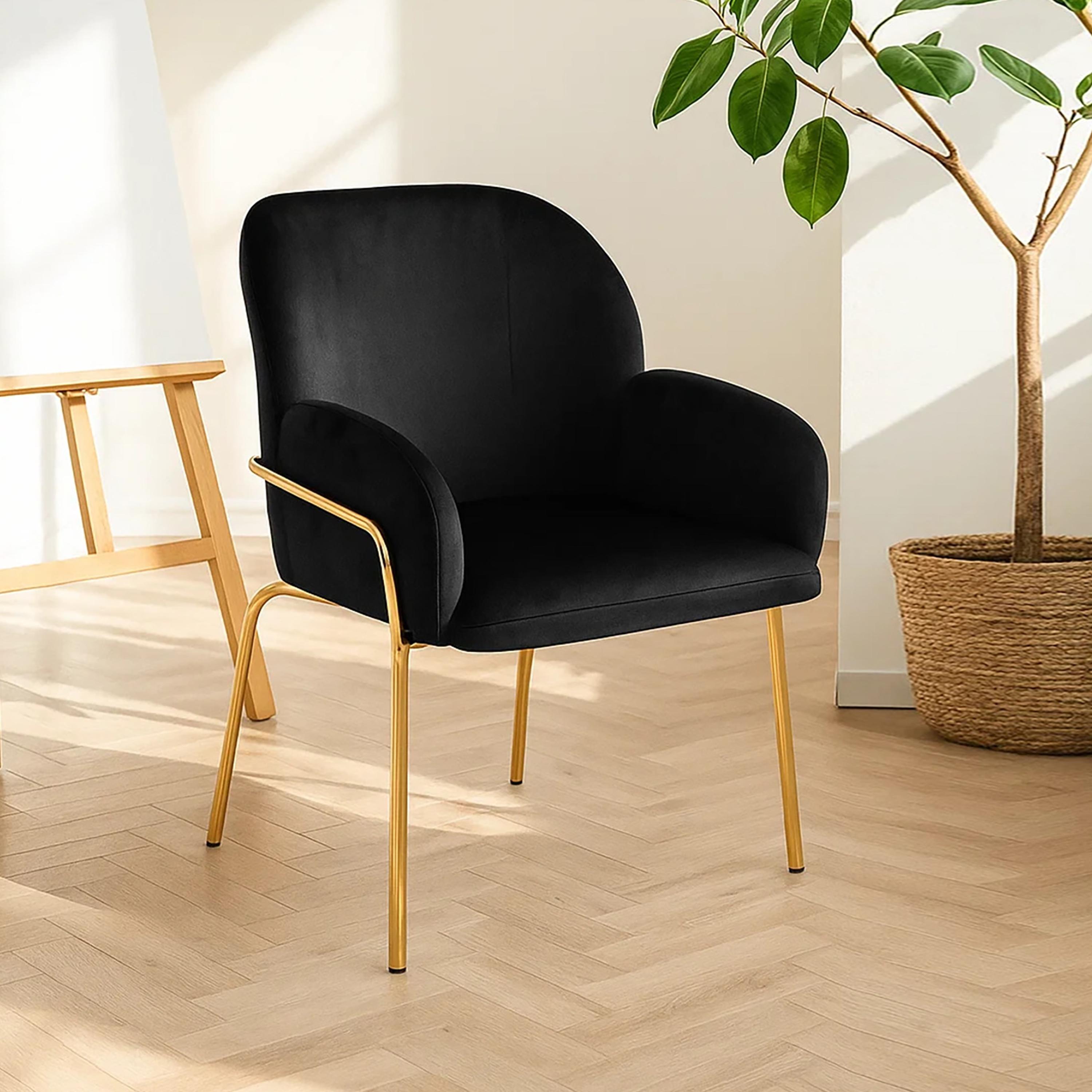 Maria Homes Padded Arm Chair-furniture-sofaandseating-armchairs-image-1