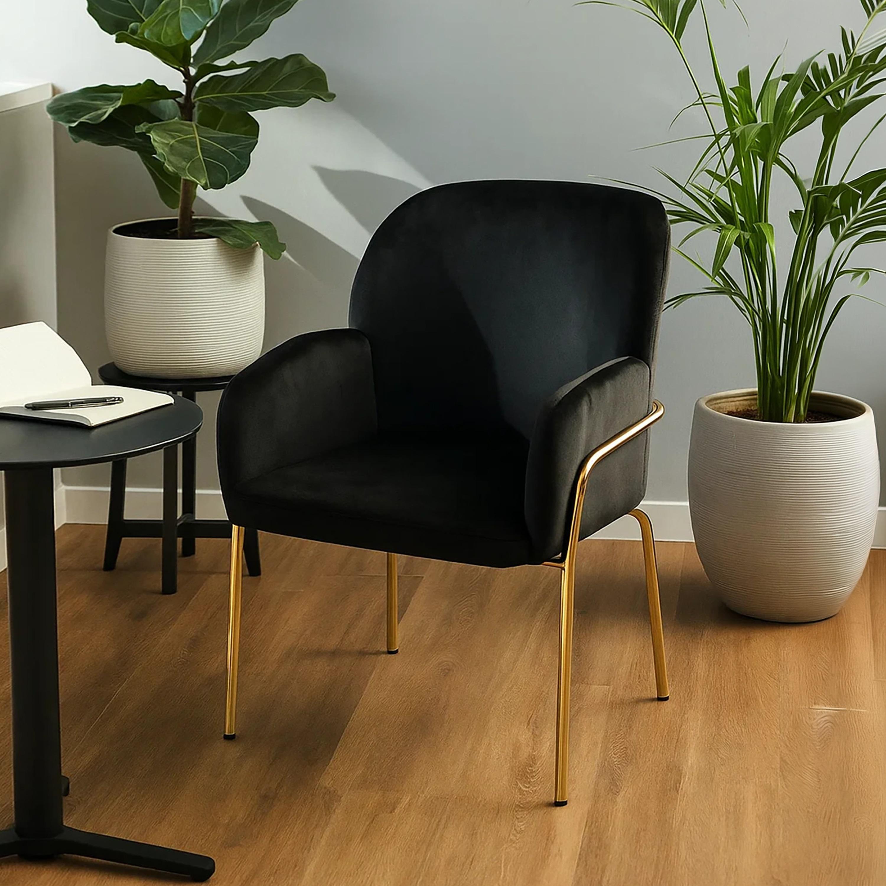 Maria Homes Padded Arm Chair-furniture-sofaandseating-armchairs-image-2