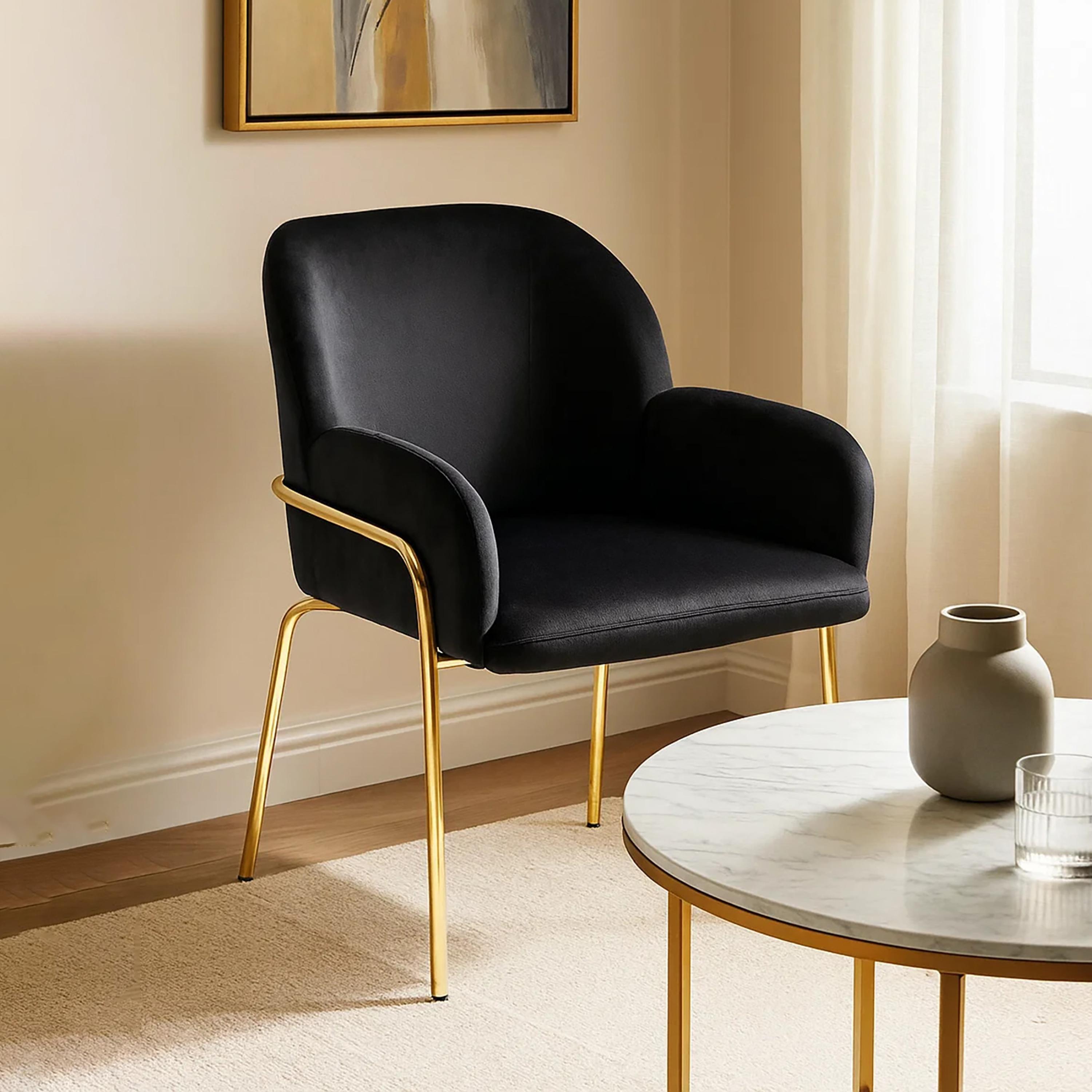 Maria Homes Padded Arm Chair-furniture-sofaandseating-armchairs-image-3