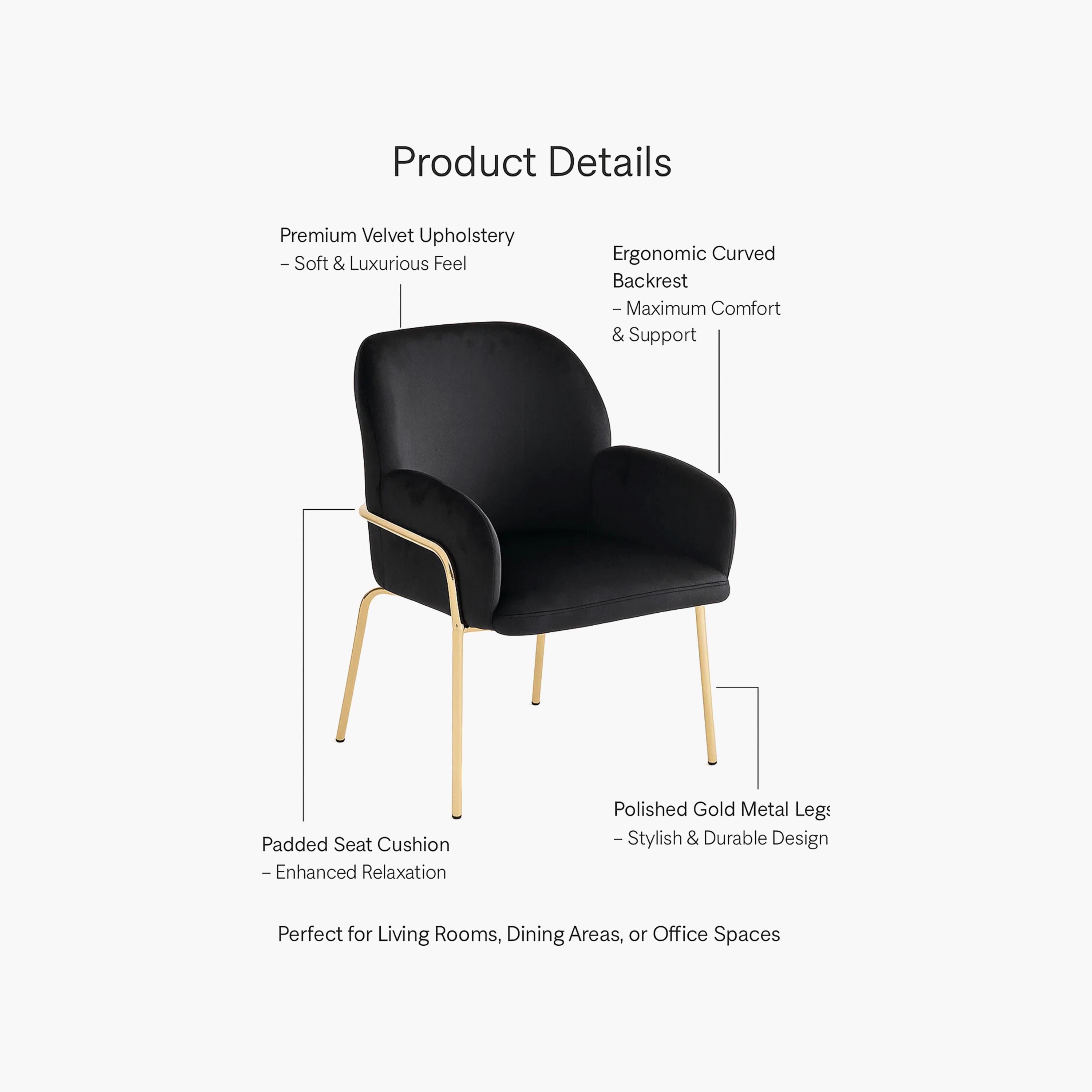 Maria Homes Padded Arm Chair-furniture-sofaandseating-armchairs-image-4