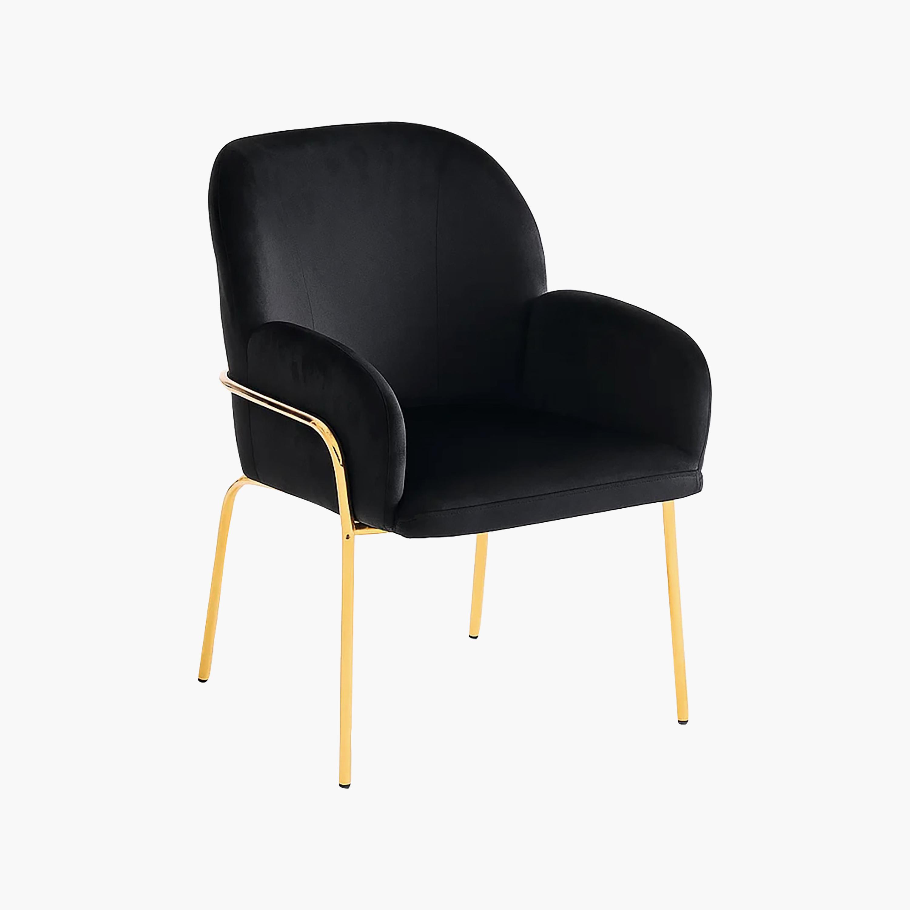 Maria Homes Padded Arm Chair-furniture-sofaandseating-armchairs-image-5