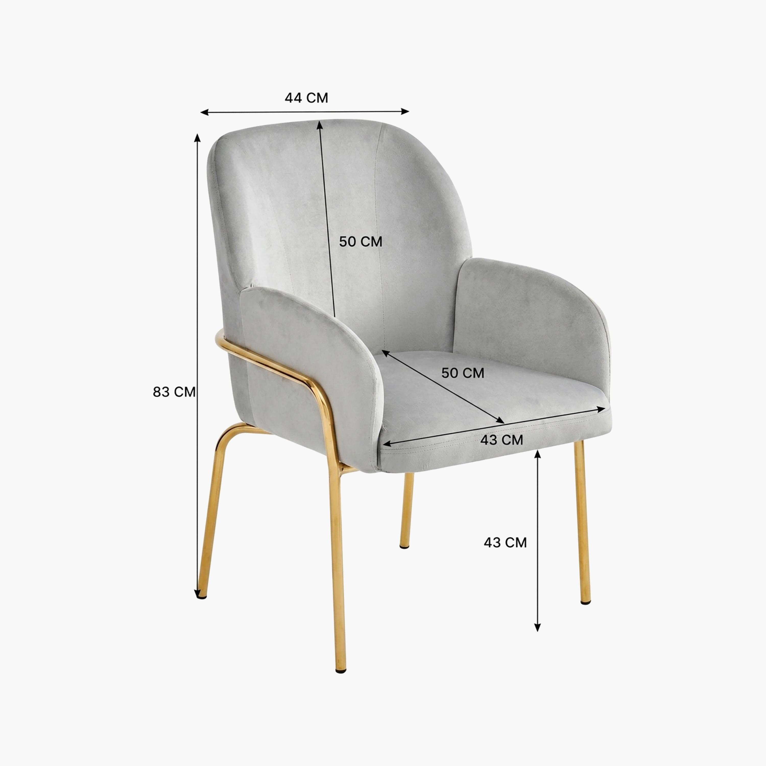 Maria Homes Padded Arm Chair-furniture-sofaandseating-armchairs-image-4
