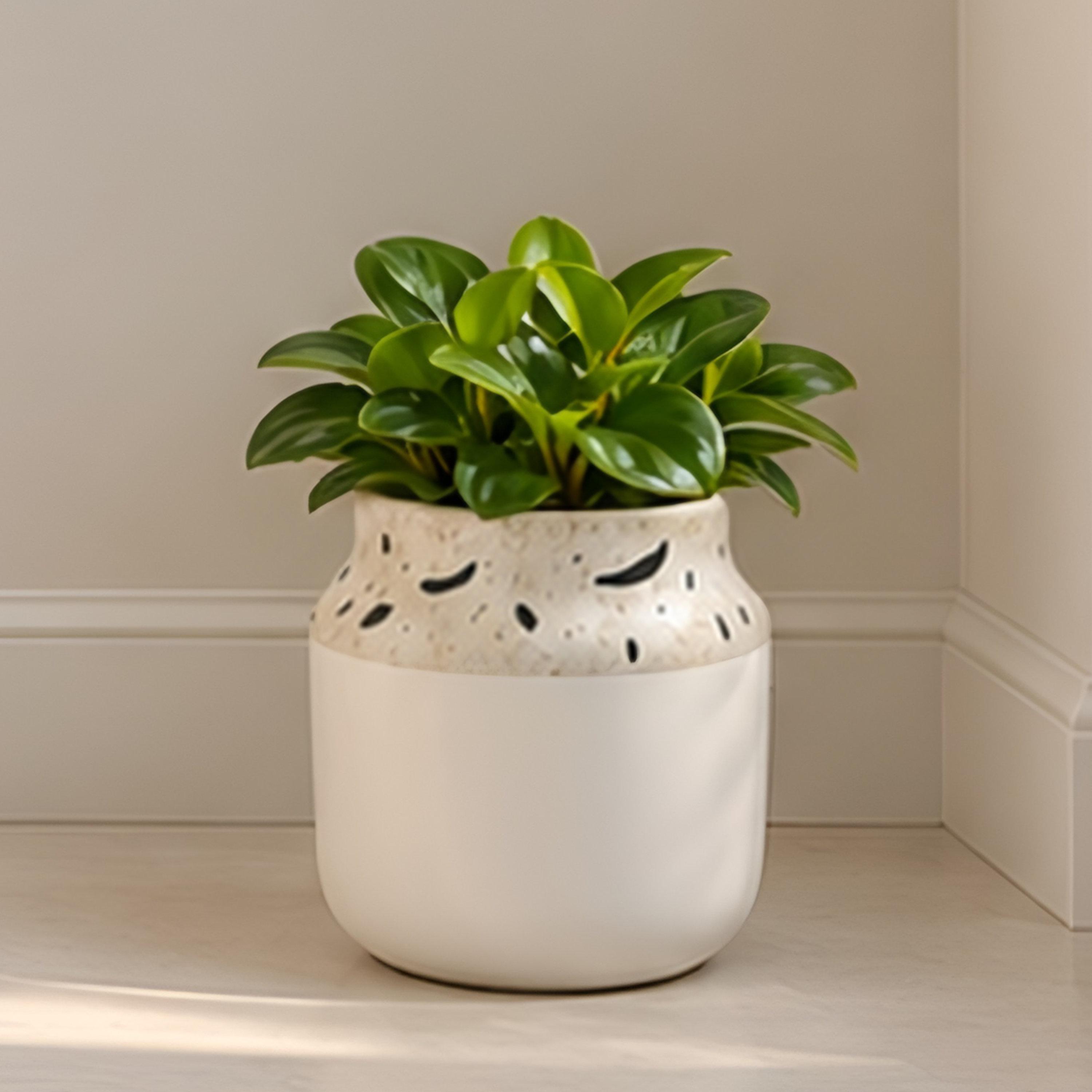 مزهرية سيراميك بنقشة تيرازو متعددة الألوان من ماريا هومز-household-decor-vasesandbowls-image-1