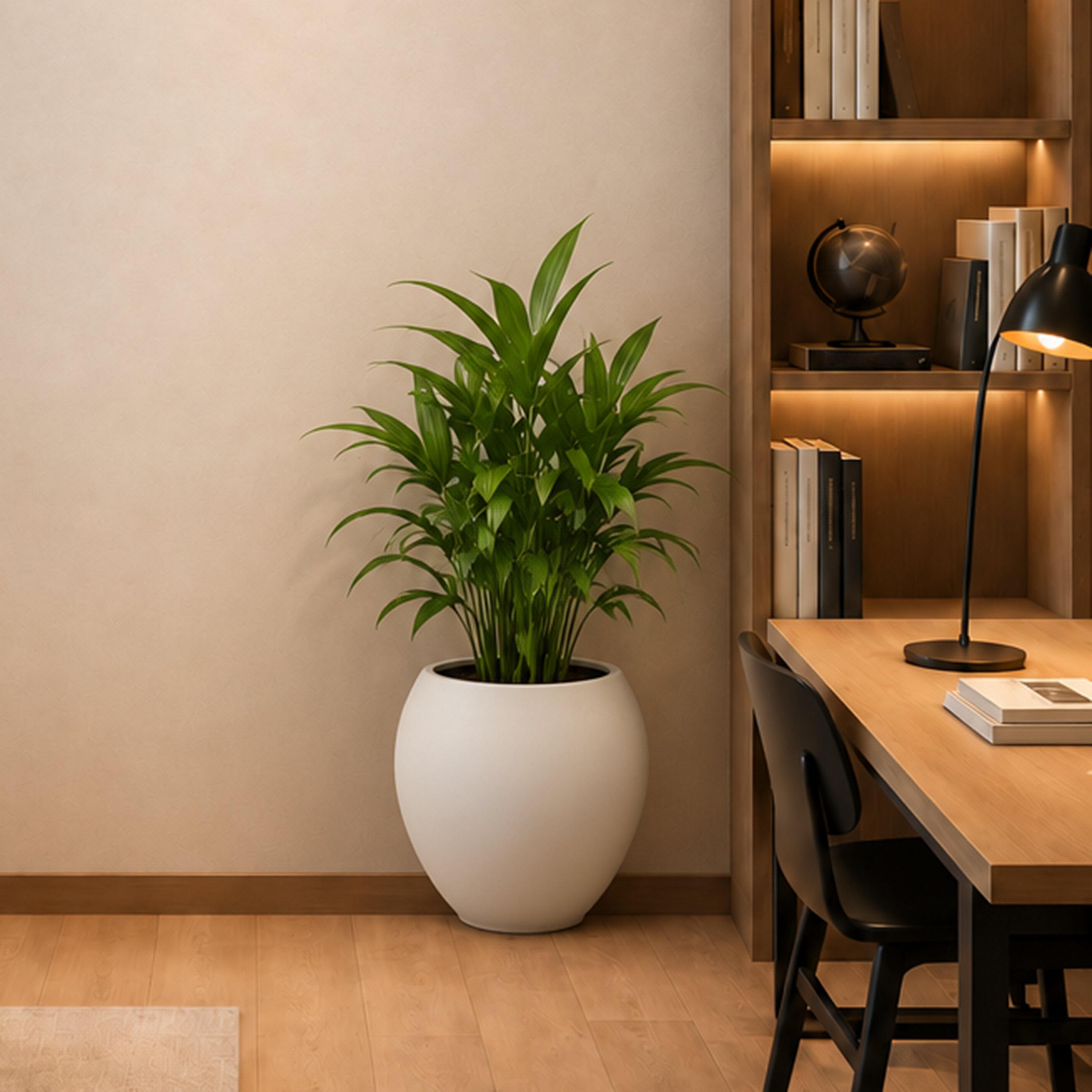 حوض نباتات دائري أبيض من ماريا هومز-household-gardenandoutdoor-potsandplanters-image-1