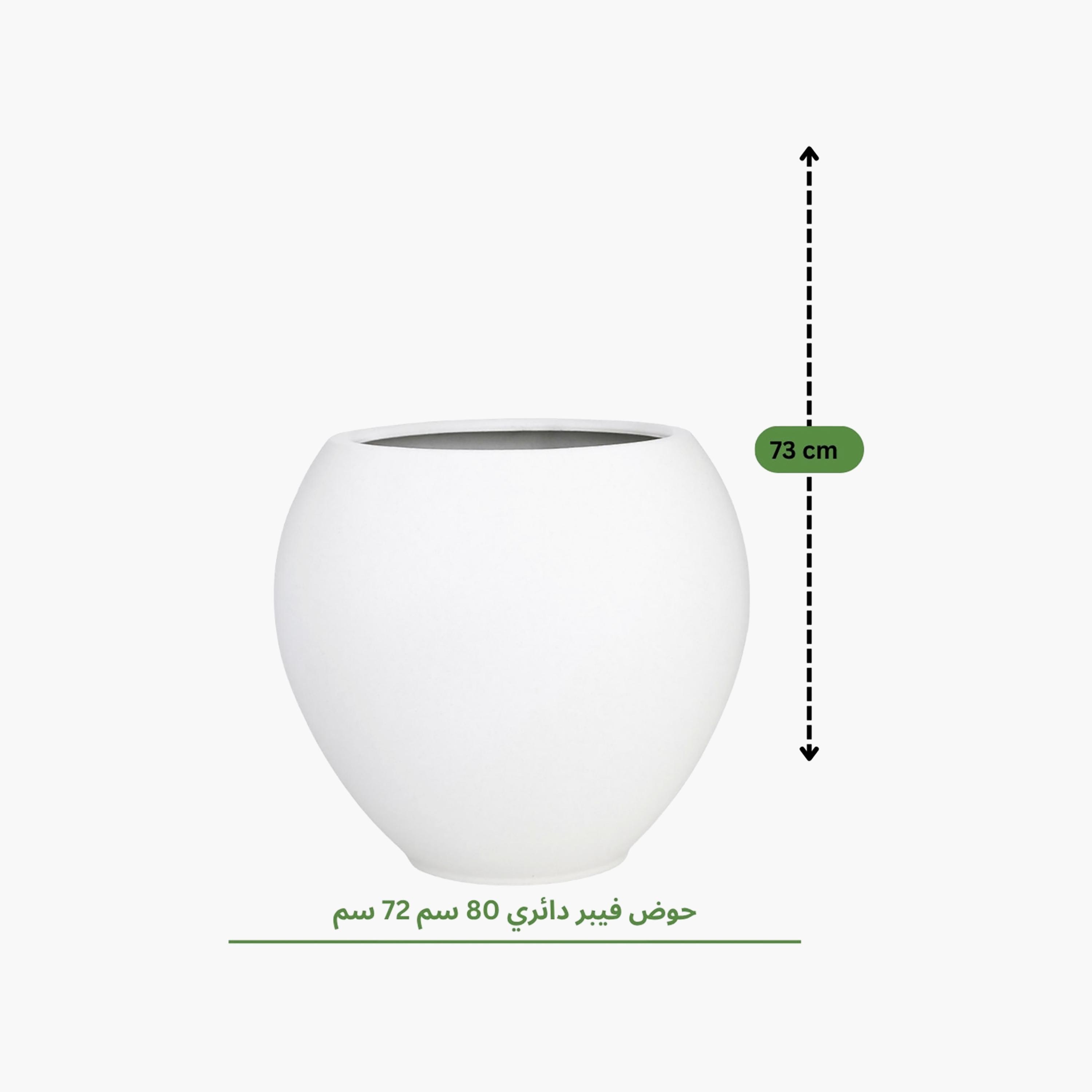 حوض نباتات دائري أبيض من ماريا هومز-household-gardenandoutdoor-potsandplanters-image-3