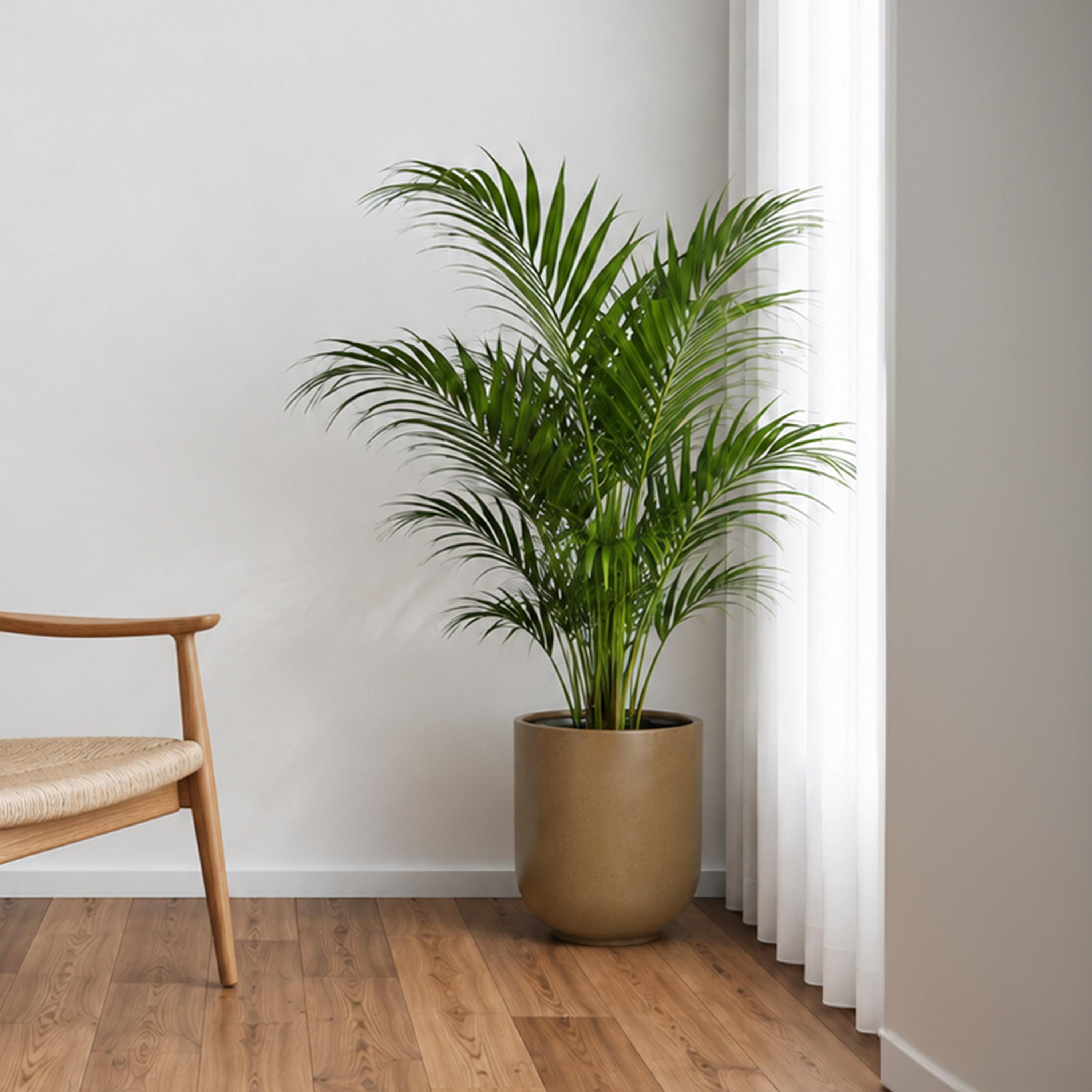أصيص نباتات دائري من الألياف من ماريا هومز-household-gardenandoutdoor-potsandplanters-image-1