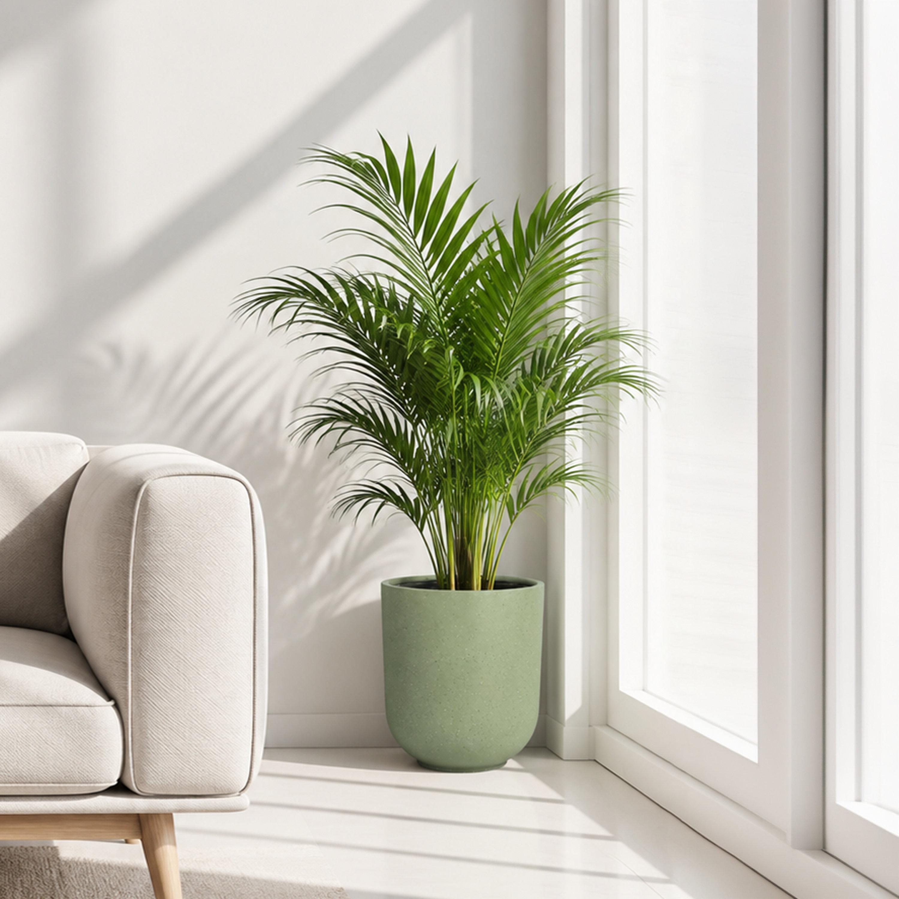 Maria Homes Fibre Round Planter-household-gardenandoutdoor-potsandplanters-image-1
