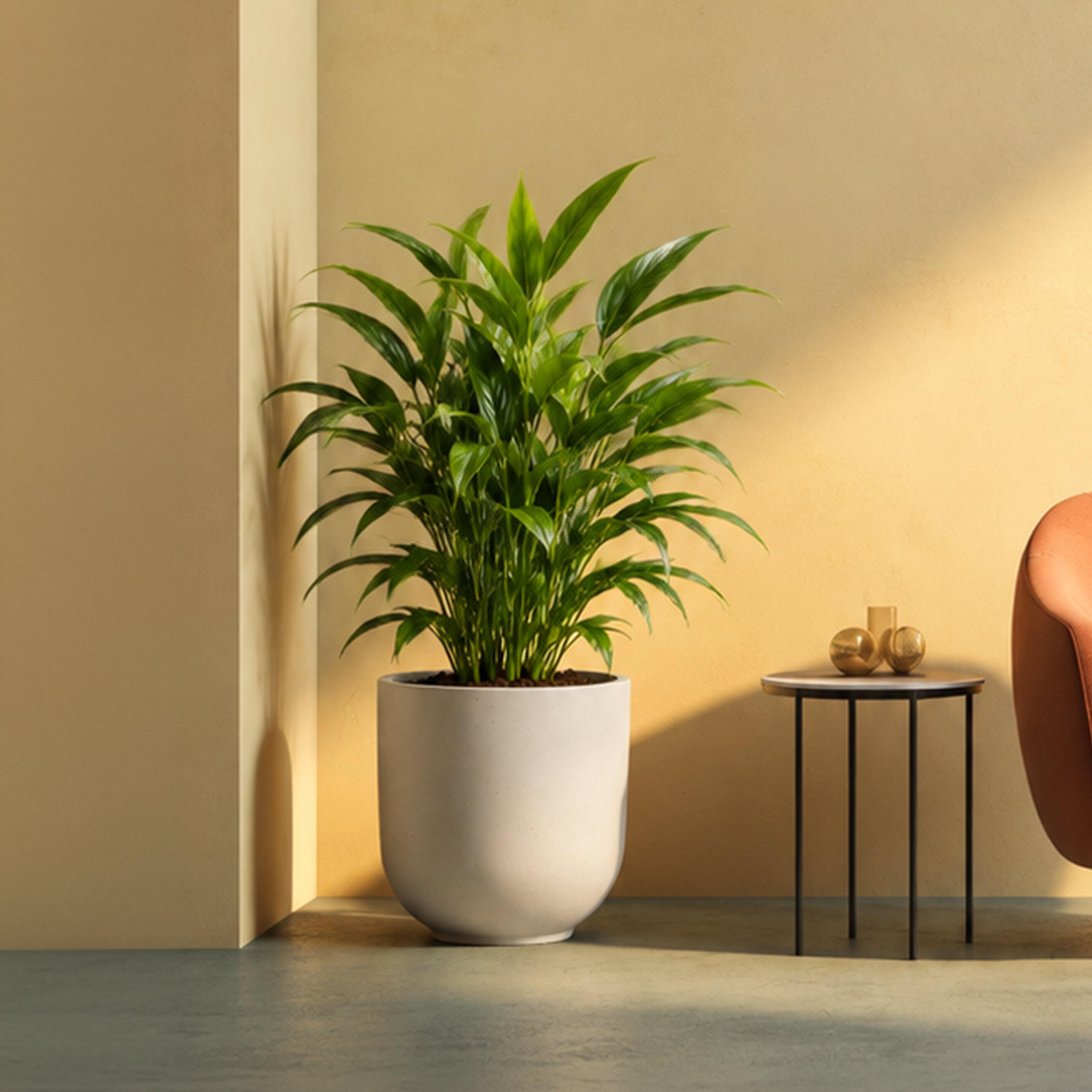 Maria Homes Fibre Round Planter-household-gardenandoutdoor-potsandplanters-image-1