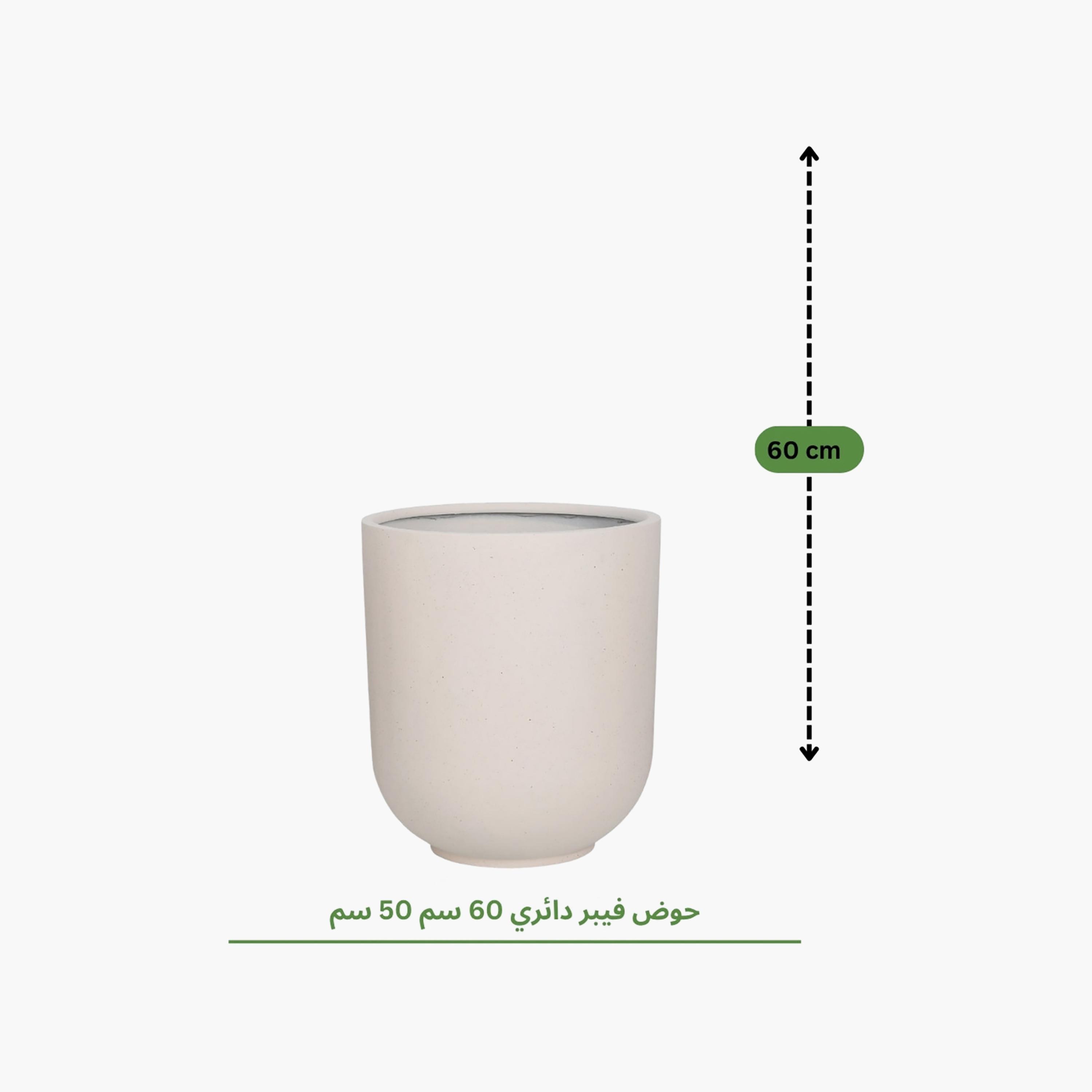 Maria Homes Fibre Round Planter-household-gardenandoutdoor-potsandplanters-image-3