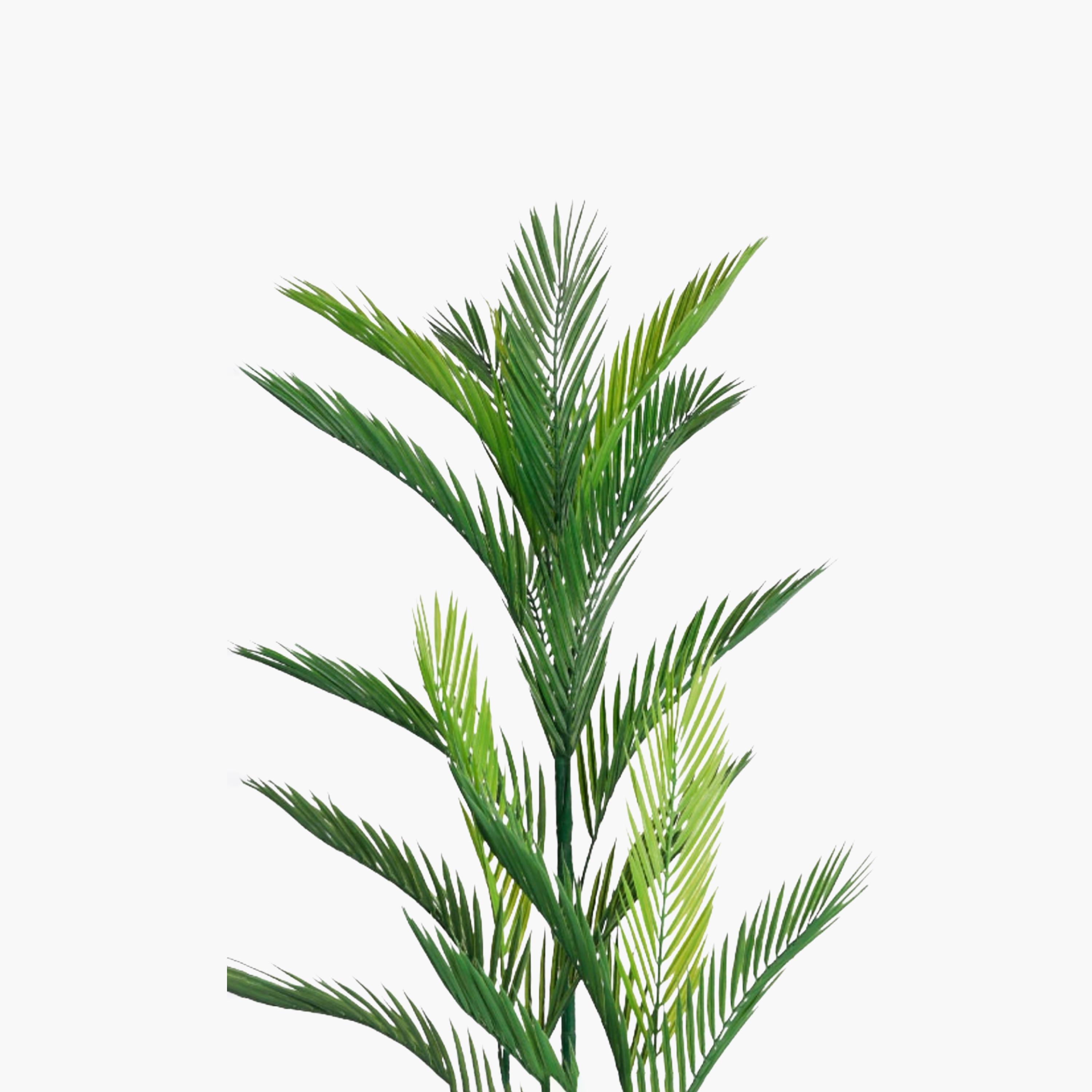 نبتة أريكا بالم صناعية بأصيص من ماريا هومز-household-gardenandoutdoor-artificialflowersandplants-flowers-image-3