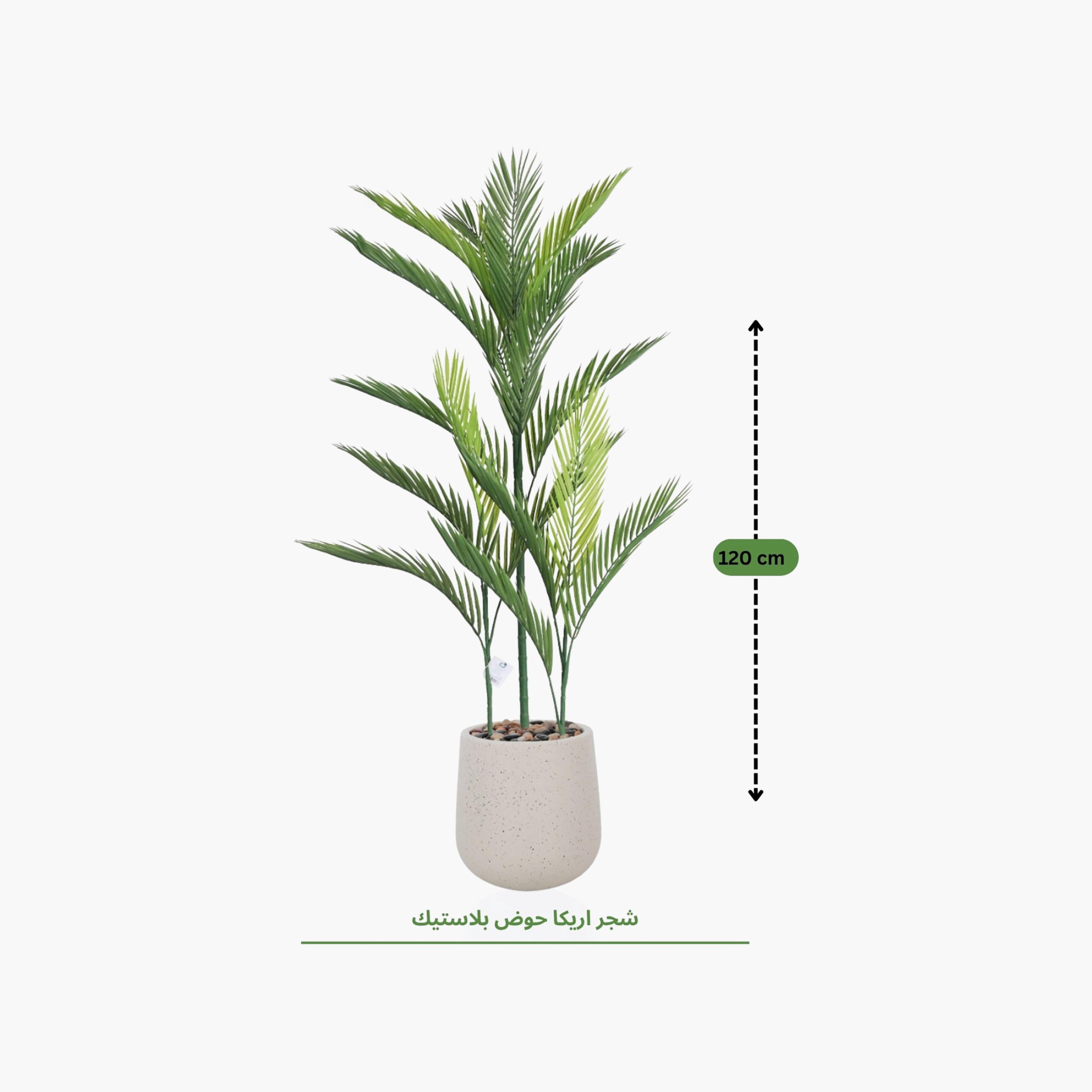 نبتة أريكا بالم صناعية بأصيص من ماريا هومز-household-gardenandoutdoor-artificialflowersandplants-flowers-image-4
