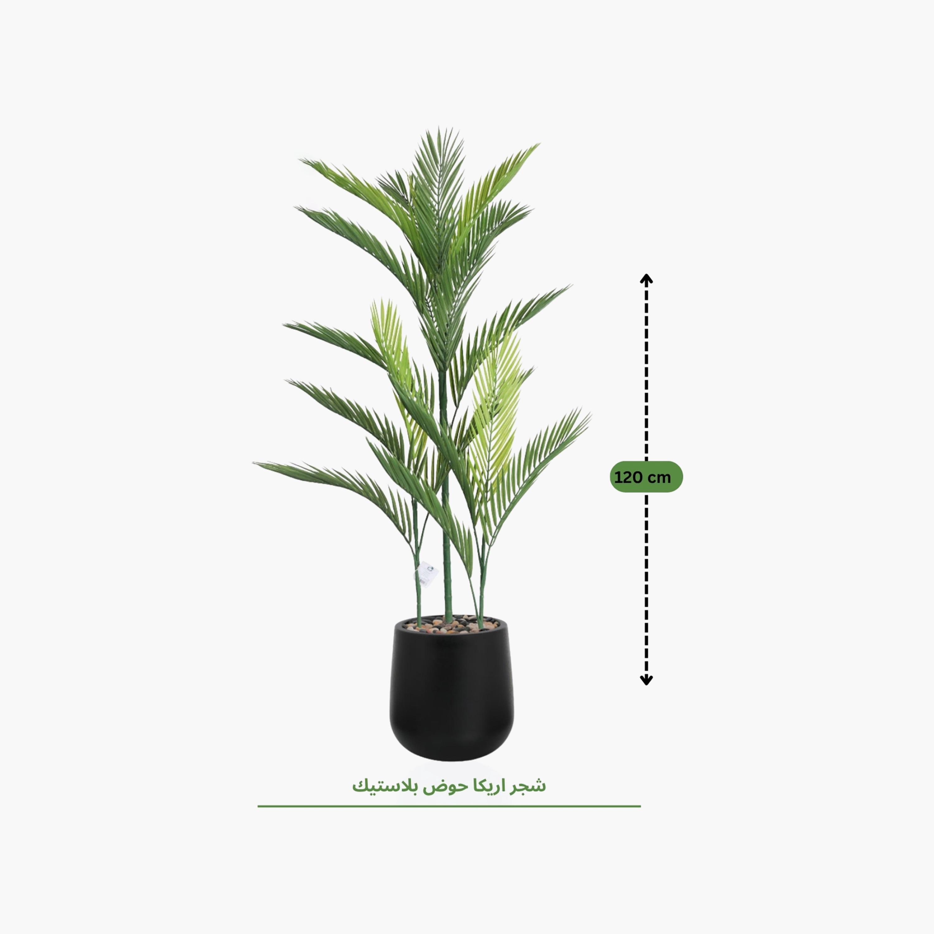نبتة أريكا بالم صناعية بأصيص من ماريا هومز-household-gardenandoutdoor-artificialflowersandplants-flowers-image-4