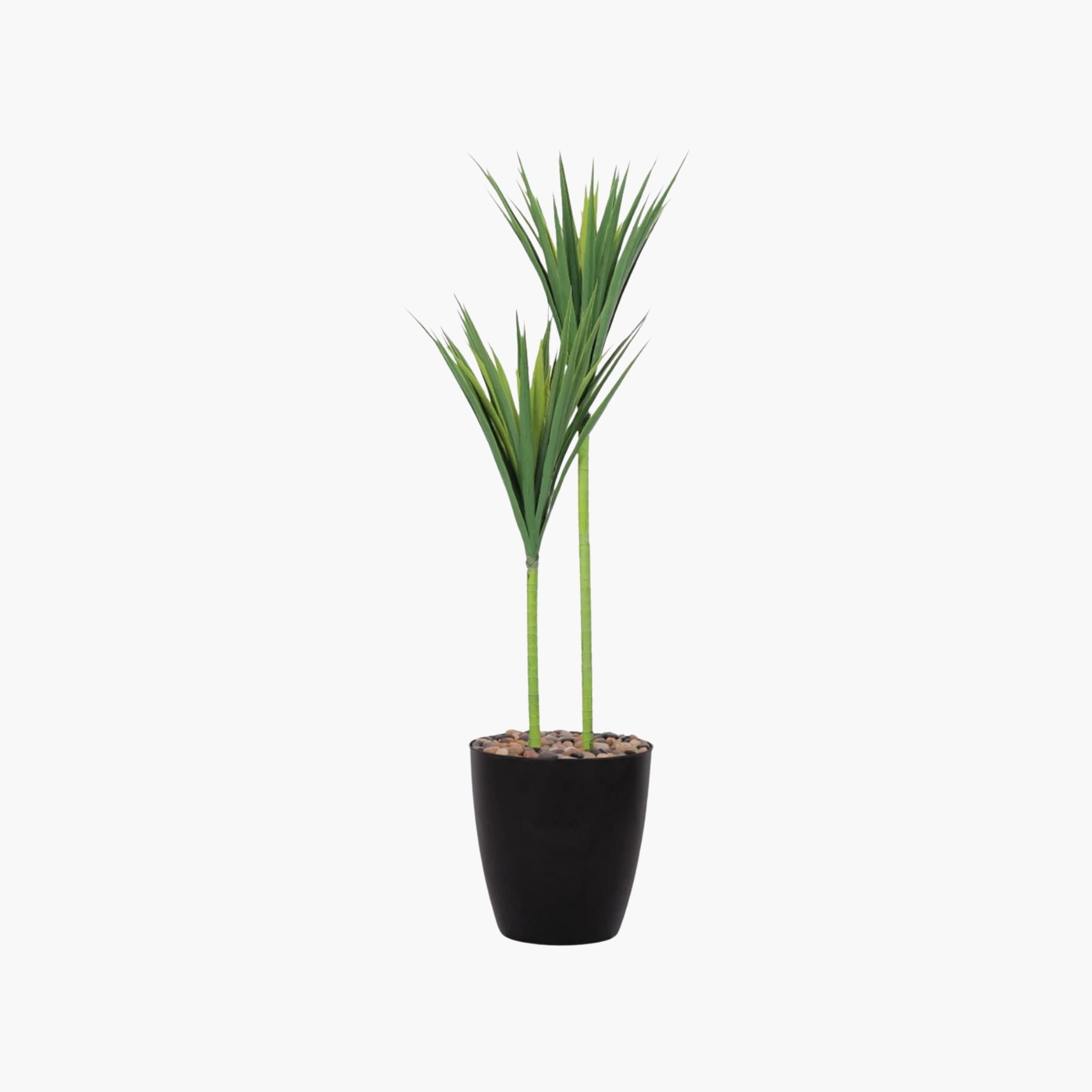 Maria Homes Potted Artificial Yucca Plant-household-gardenandoutdoor-artificialflowersandplants-flowers-image-2