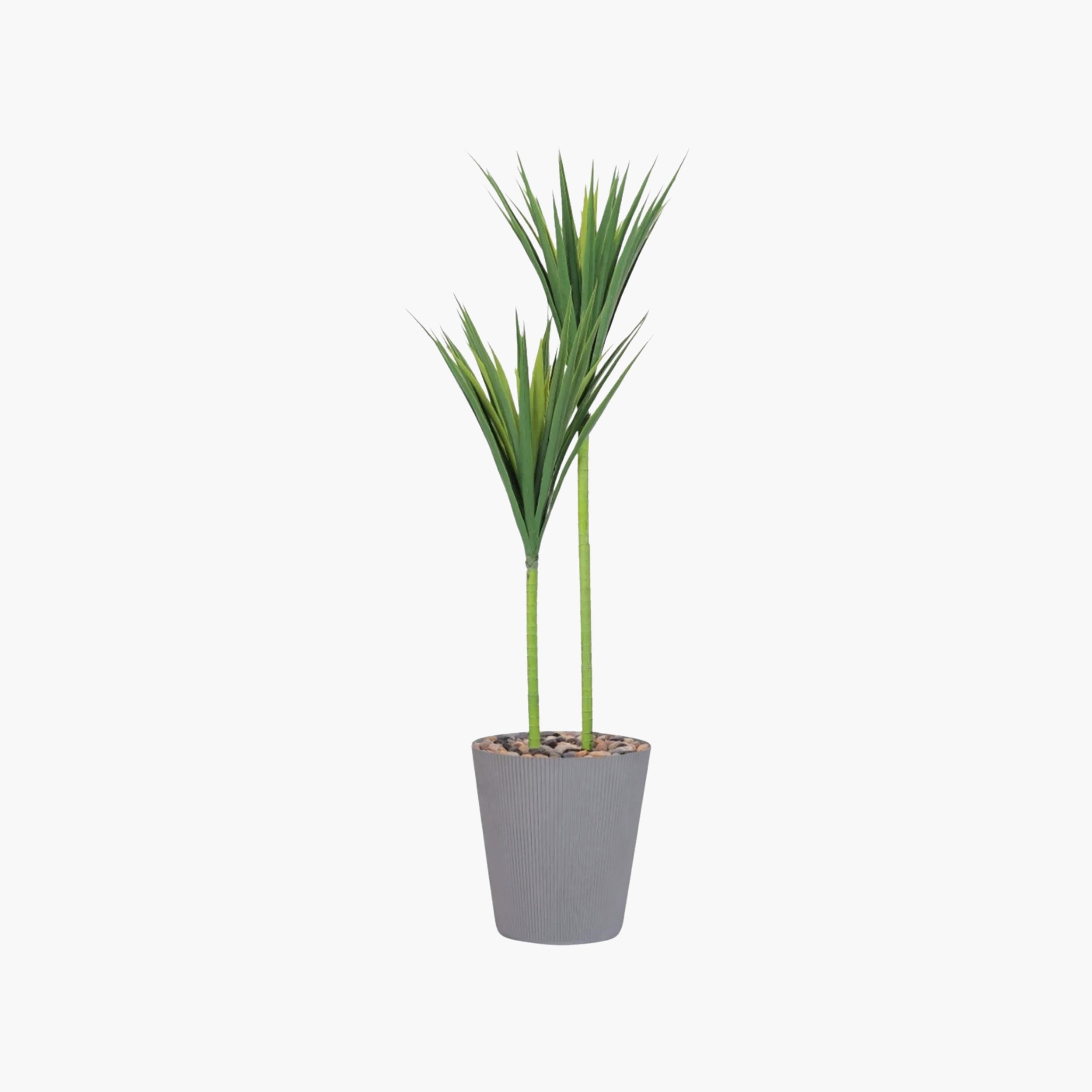 نبتة يوكا صناعية بأصيص من ماريا هومز-household-gardenandoutdoor-artificialflowersandplants-flowers-image-2