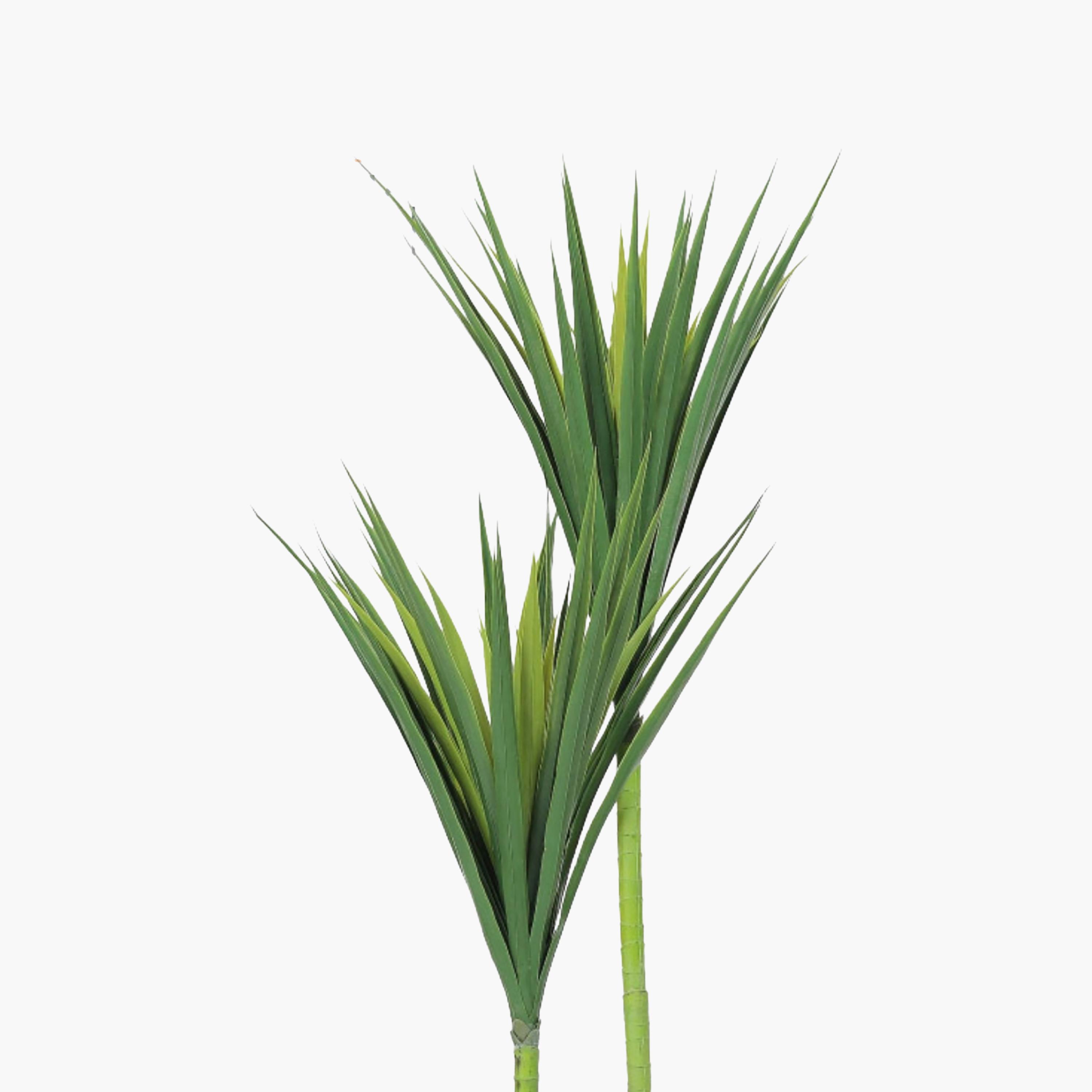 نبتة يوكا صناعية بأصيص من ماريا هومز-household-gardenandoutdoor-artificialflowersandplants-flowers-image-3
