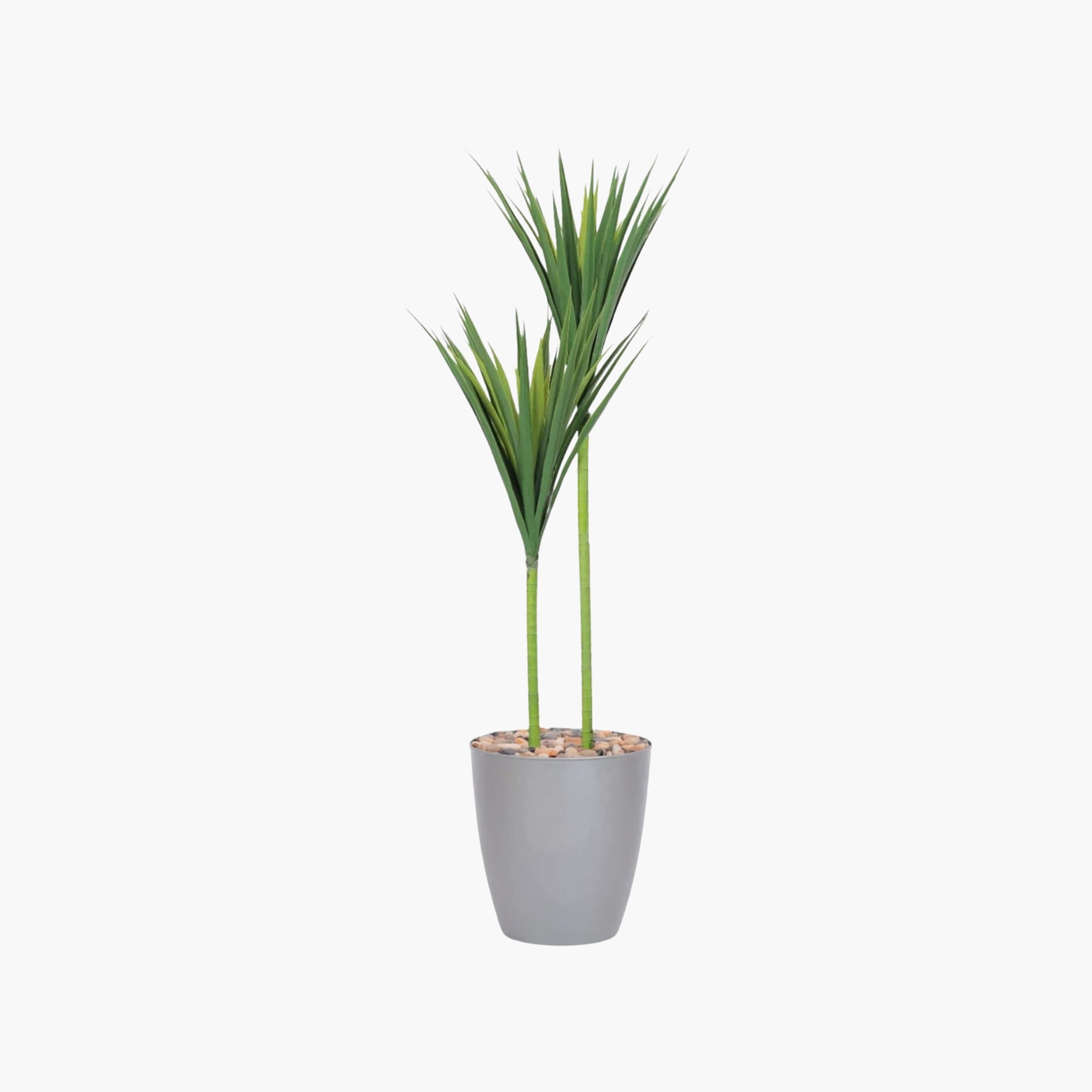 نبتة يوكا صناعية بأصيص من ماريا هومز-household-gardenandoutdoor-artificialflowersandplants-flowers-image-2