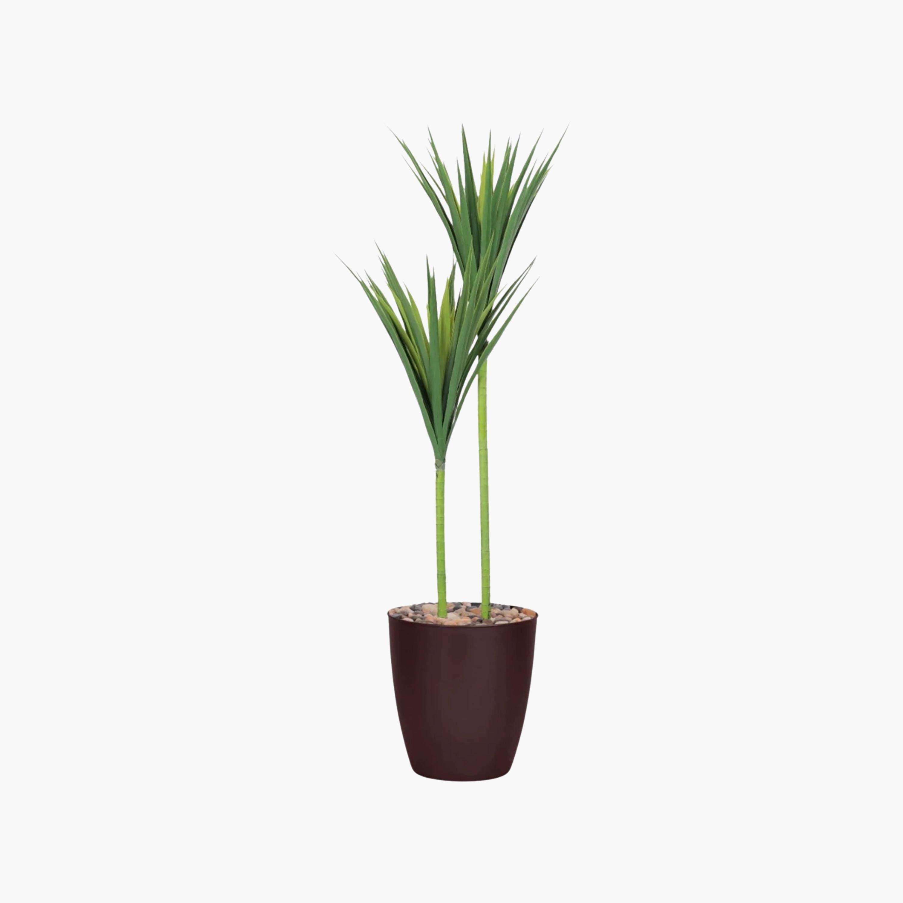 نبتة يوكا صناعية بأصيص من ماريا هومز-household-gardenandoutdoor-artificialflowersandplants-flowers-image-2