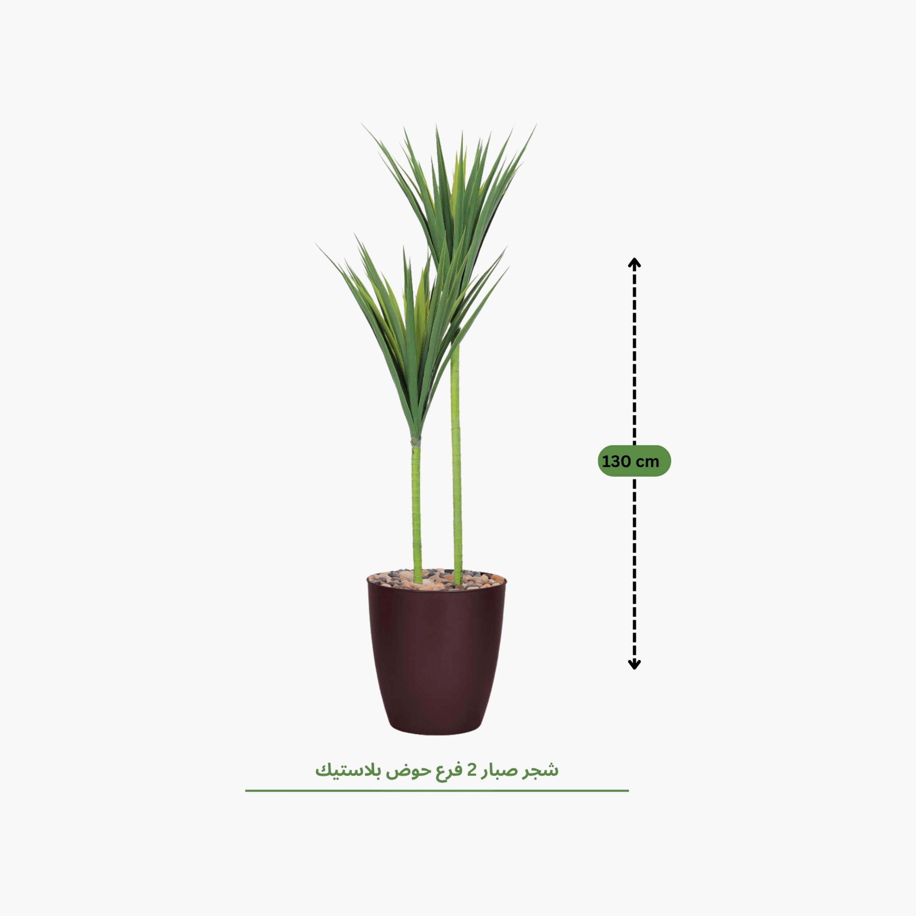 نبتة يوكا صناعية بأصيص من ماريا هومز-household-gardenandoutdoor-artificialflowersandplants-flowers-image-4