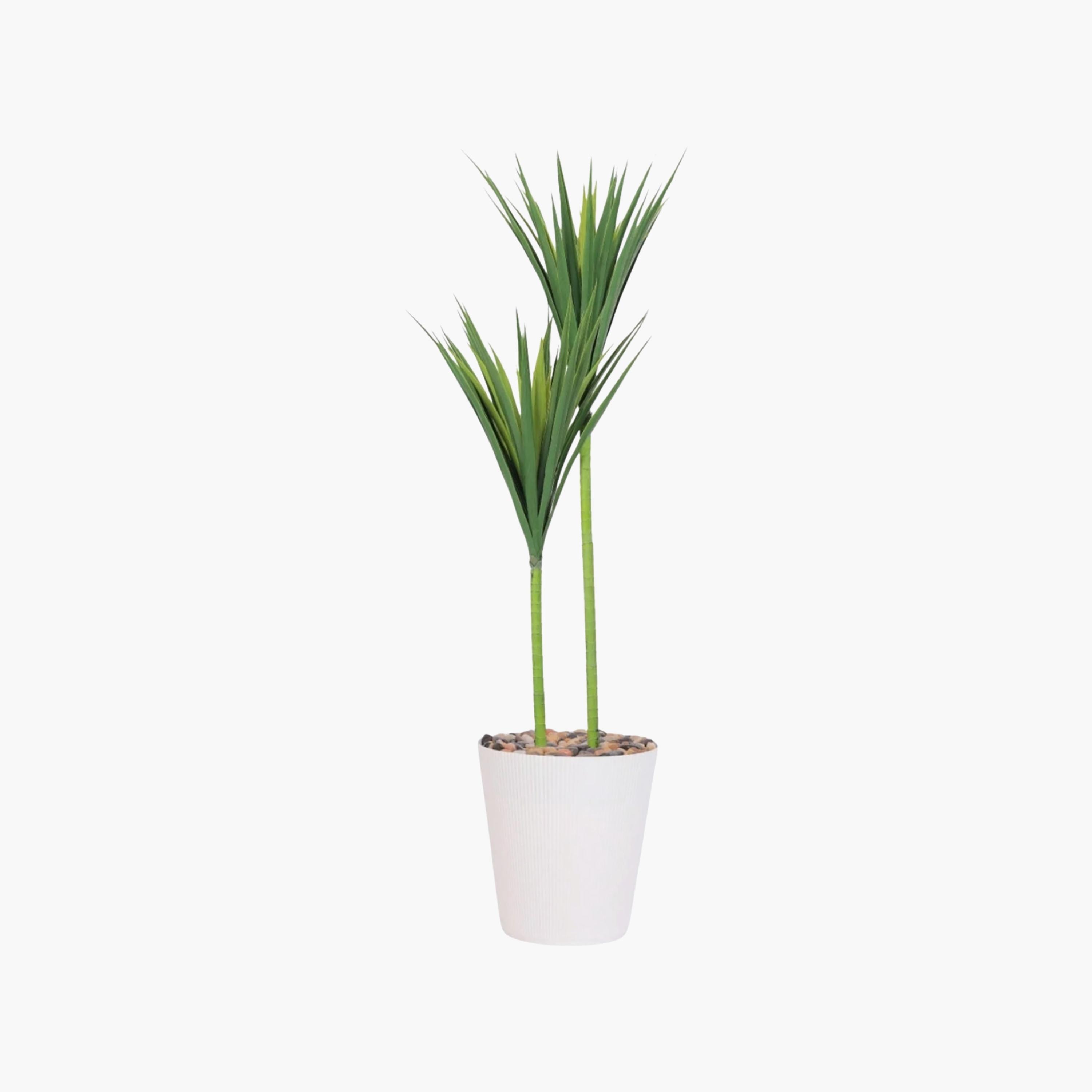 نبتة يوكا صناعية بأصيص من ماريا هومز-household-gardenandoutdoor-artificialflowersandplants-flowers-image-2