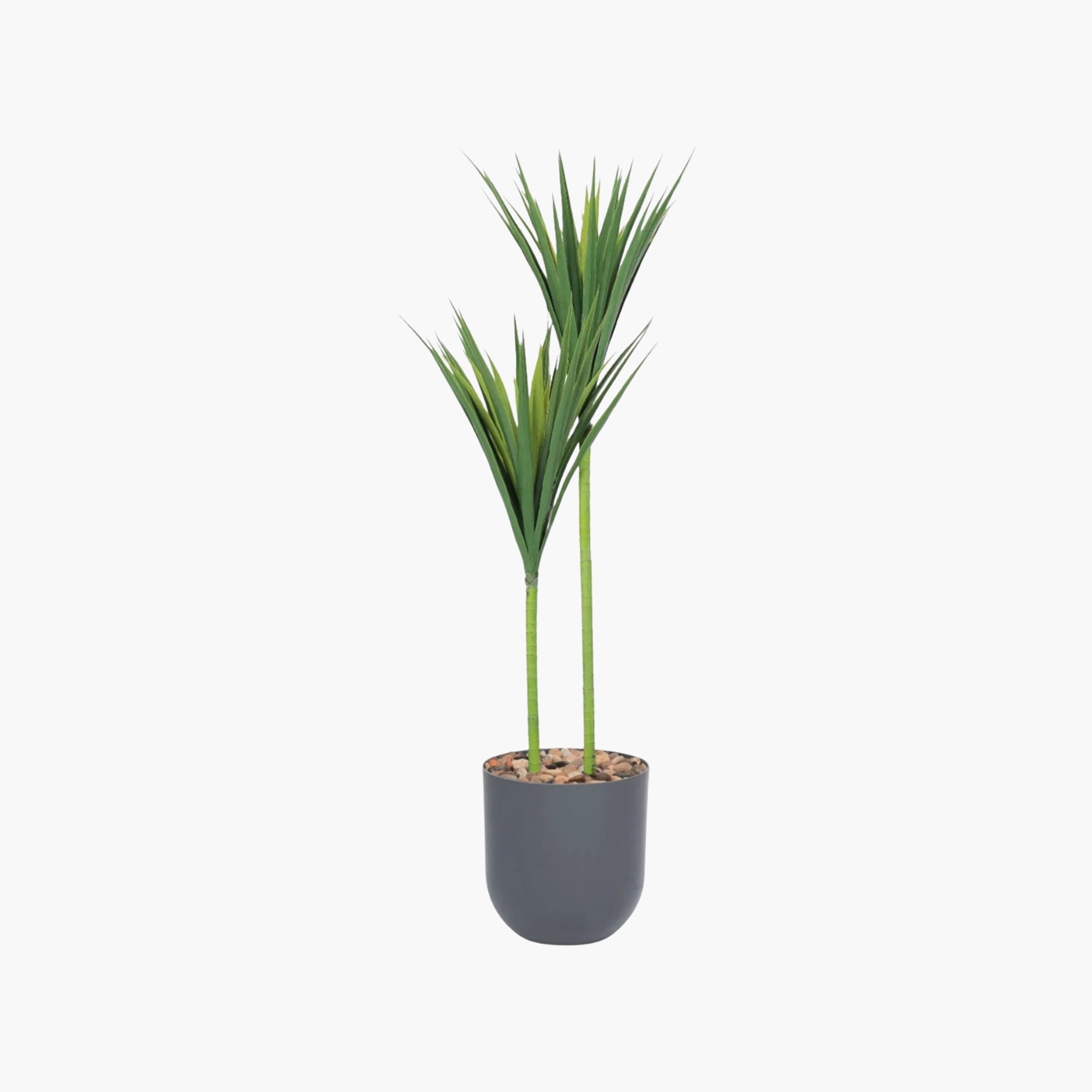 نبتة يوكا صناعية بأصيص من ماريا هومز-household-gardenandoutdoor-artificialflowersandplants-flowers-image-2