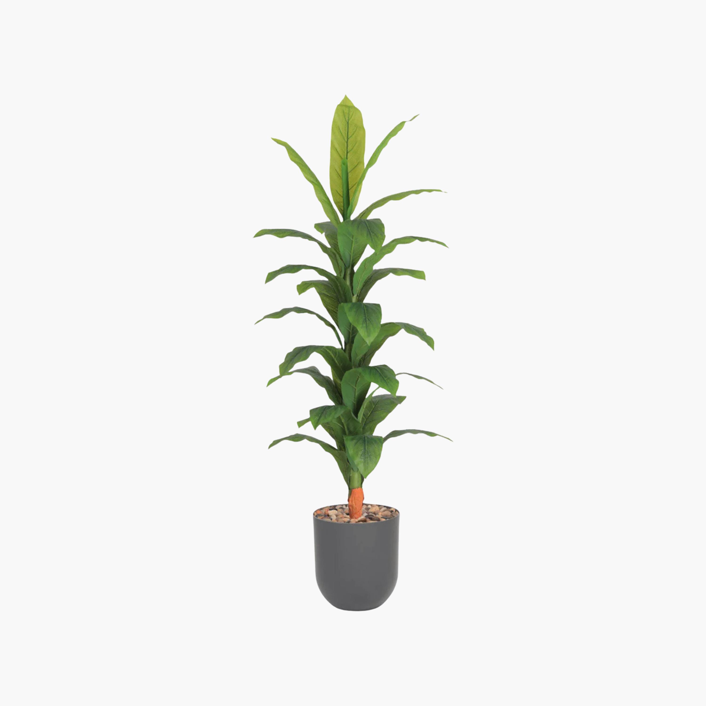 Maria Homes Potted Artificial Banana Plant-household-gardenandoutdoor-artificialflowersandplants-flowers-image-2