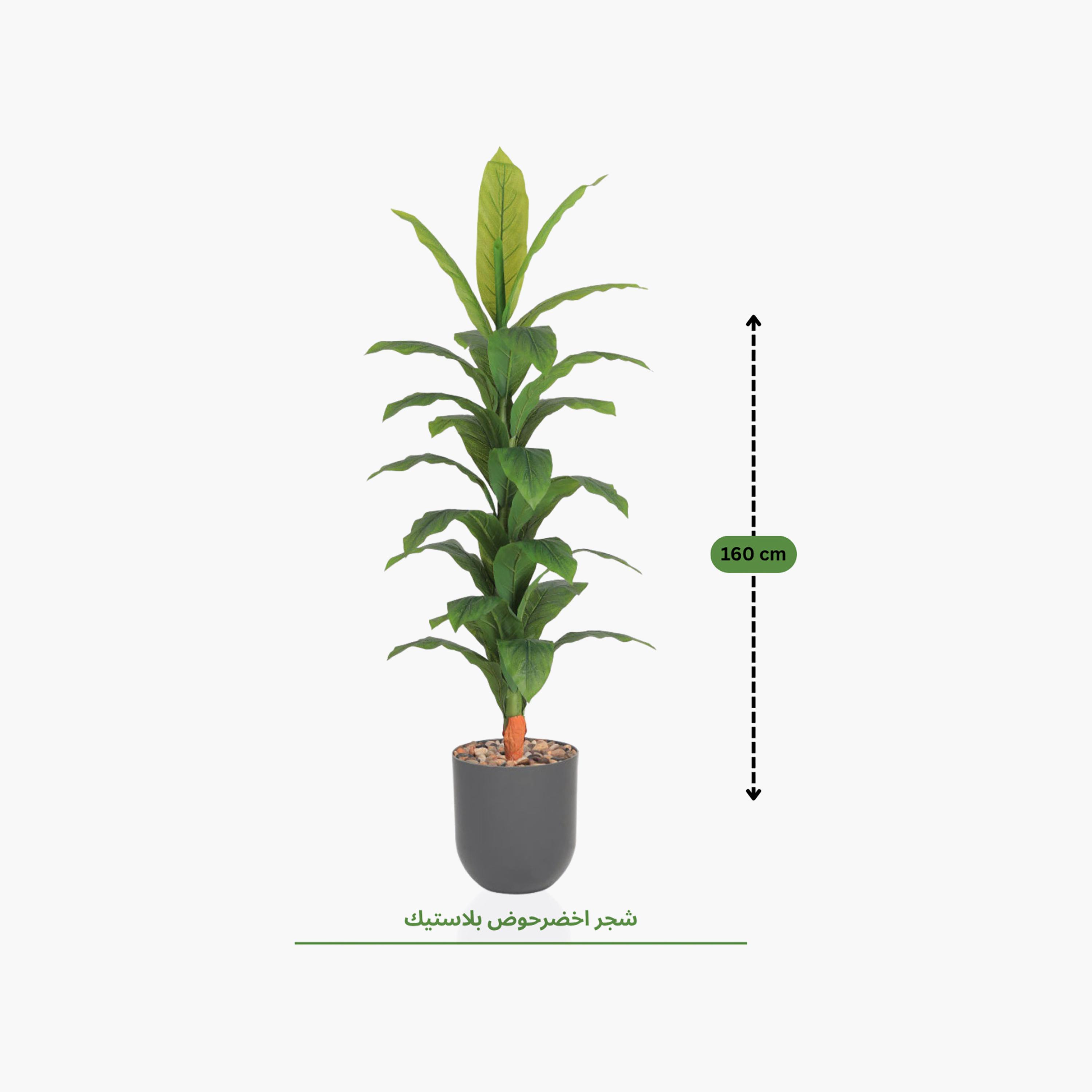Maria Homes Potted Artificial Banana Plant-household-gardenandoutdoor-artificialflowersandplants-flowers-image-4