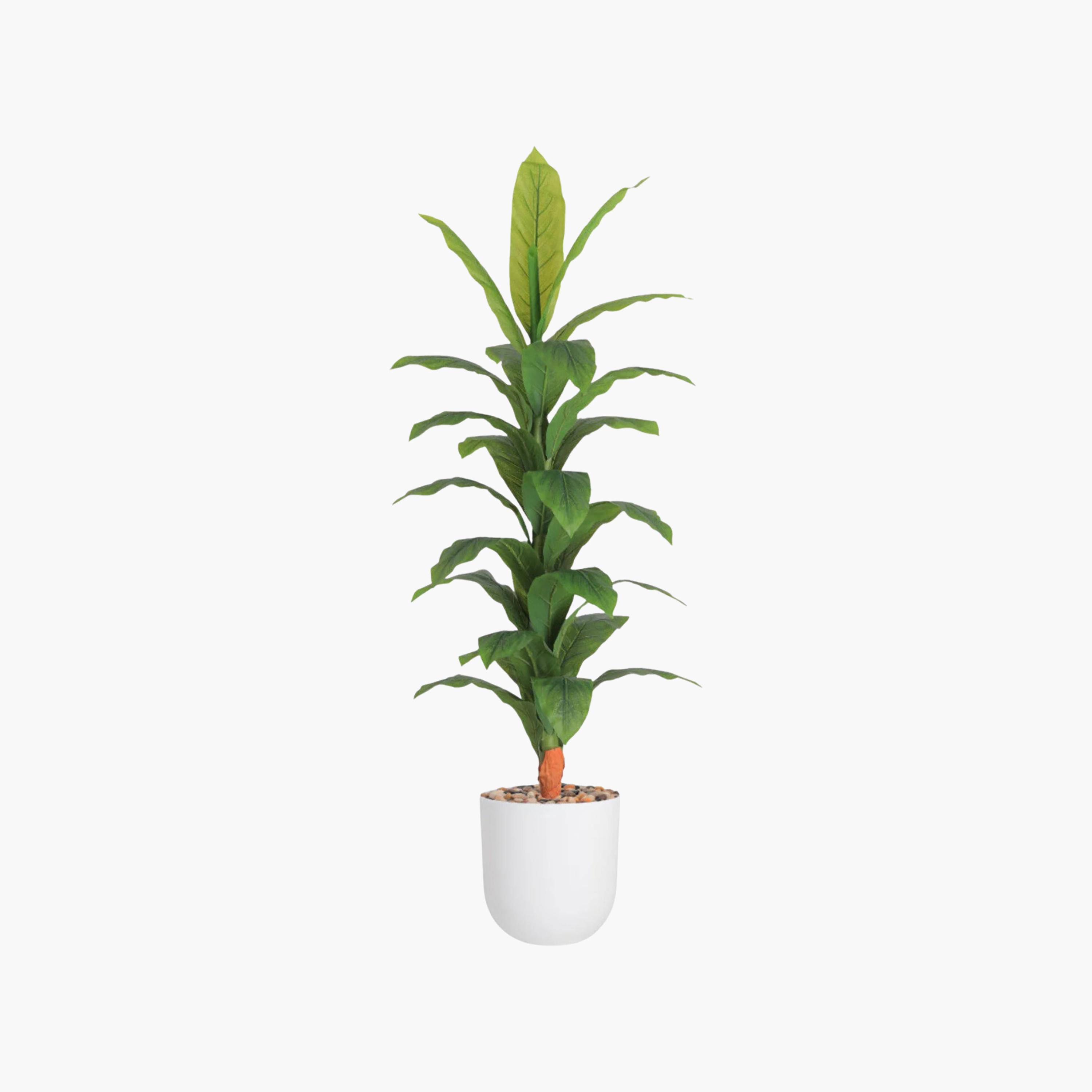 Maria Homes Potted Artificial Banana Plant-household-gardenandoutdoor-artificialflowersandplants-flowers-image-2