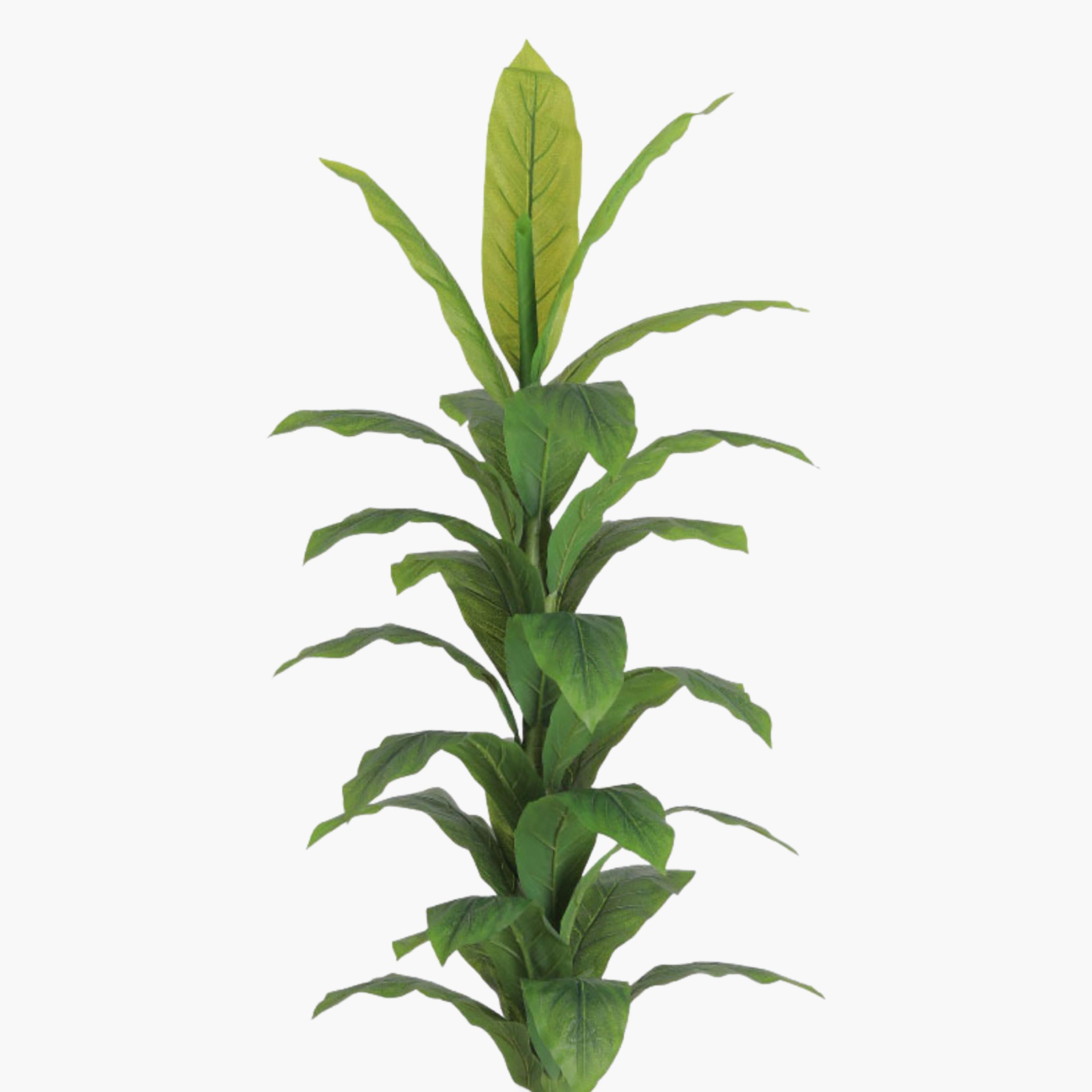 Maria Homes Potted Artificial Banana Plant-household-gardenandoutdoor-artificialflowersandplants-flowers-image-3