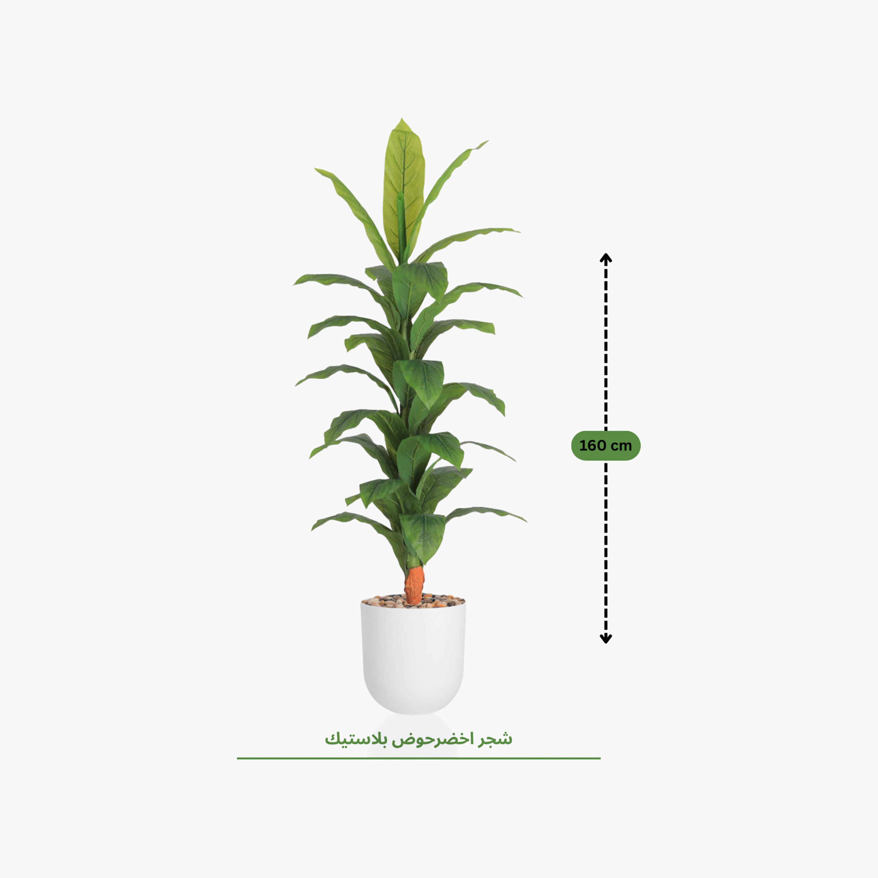 Maria Homes Potted Artificial Banana Plant-household-gardenandoutdoor-artificialflowersandplants-flowers-image-4