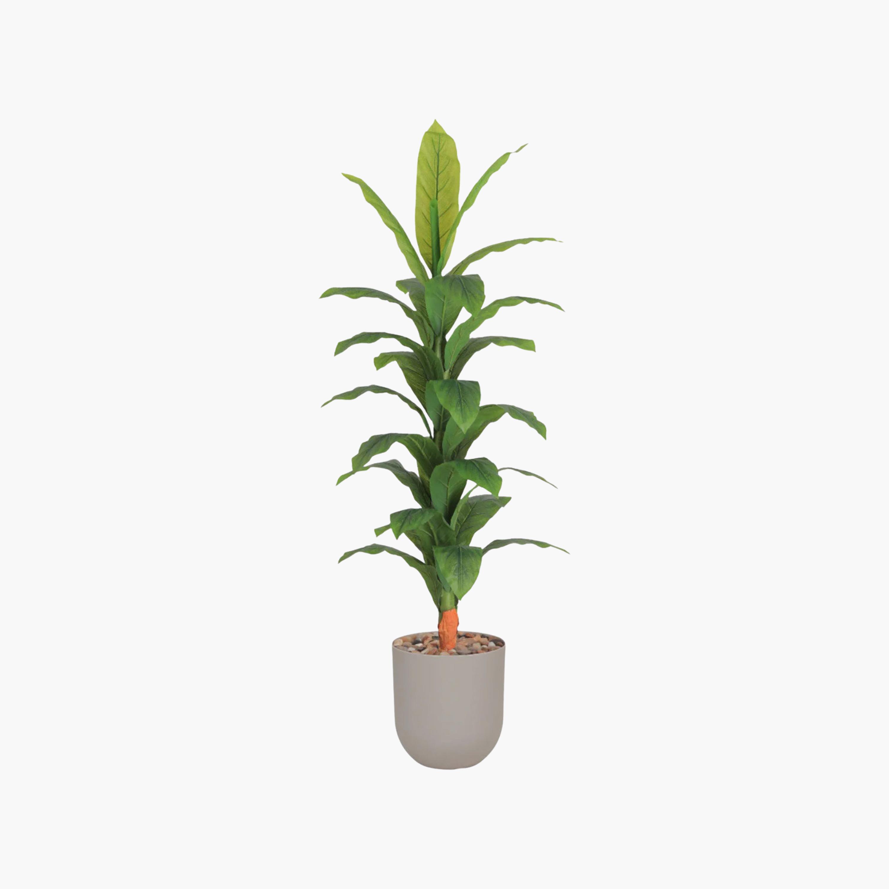 Maria Homes Potted Artificial Banana Plant-household-gardenandoutdoor-artificialflowersandplants-flowers-image-2