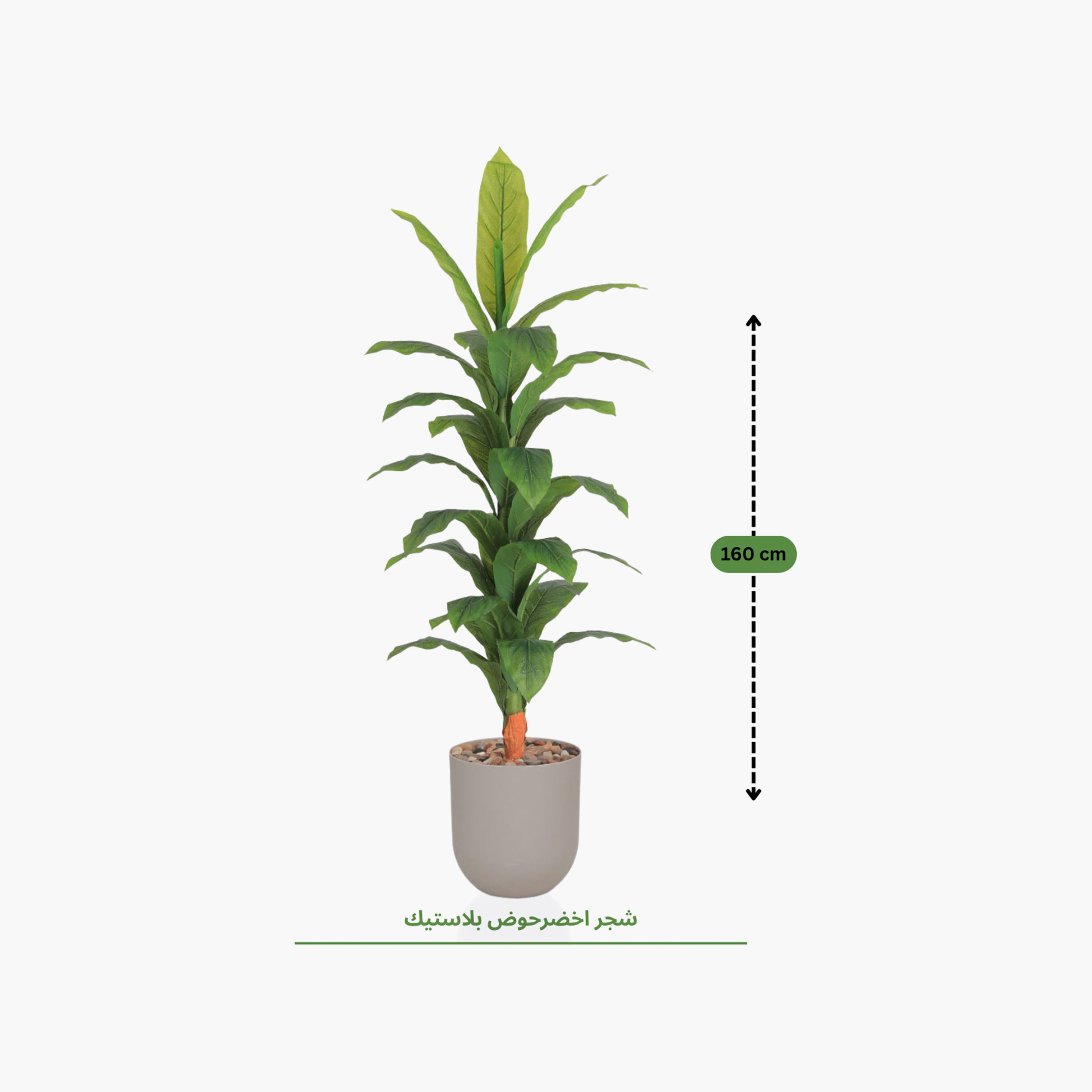 Maria Homes Potted Artificial Banana Plant-household-gardenandoutdoor-artificialflowersandplants-flowers-image-4