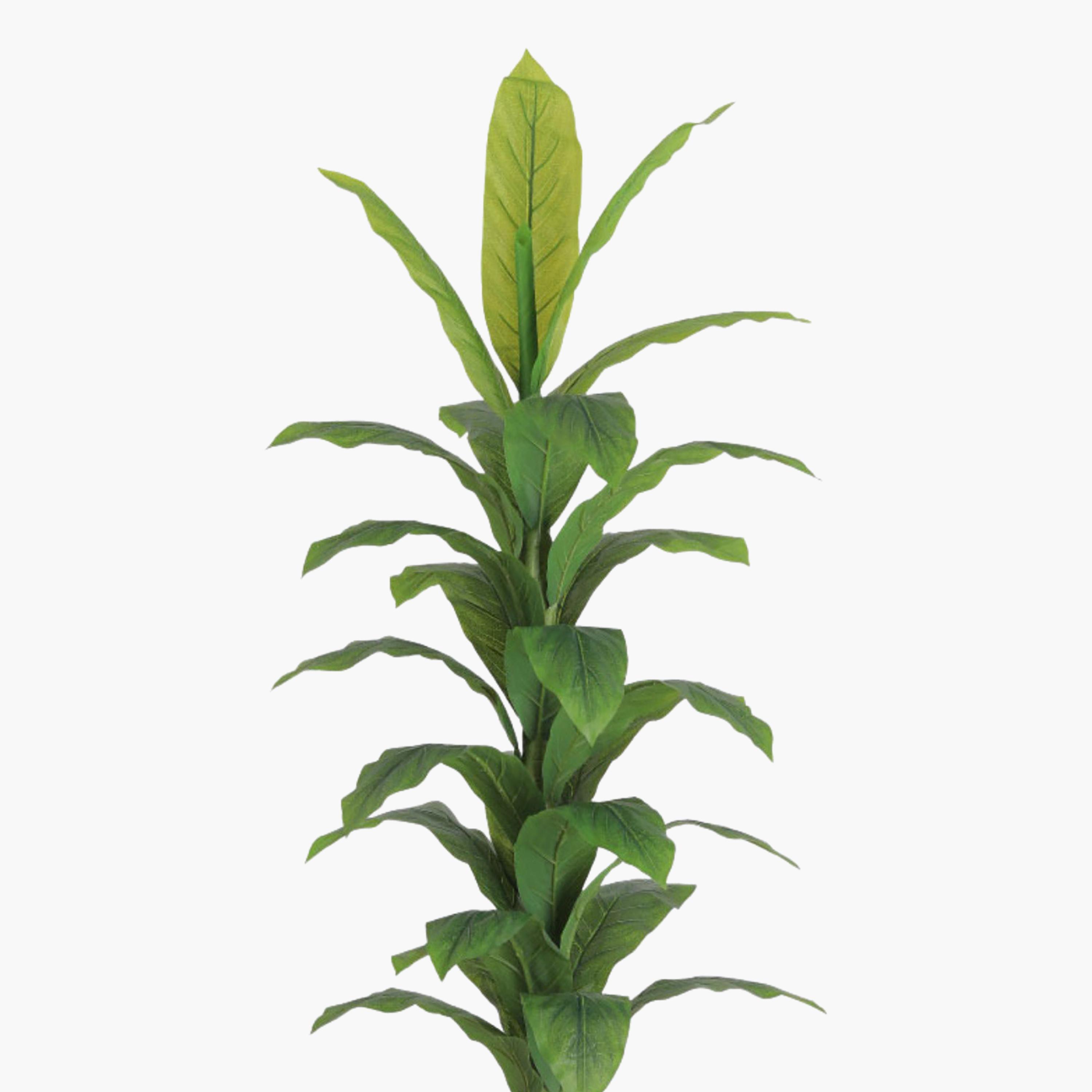 Maria Homes Potted Artificial Banana Plant-household-gardenandoutdoor-artificialflowersandplants-flowers-image-3