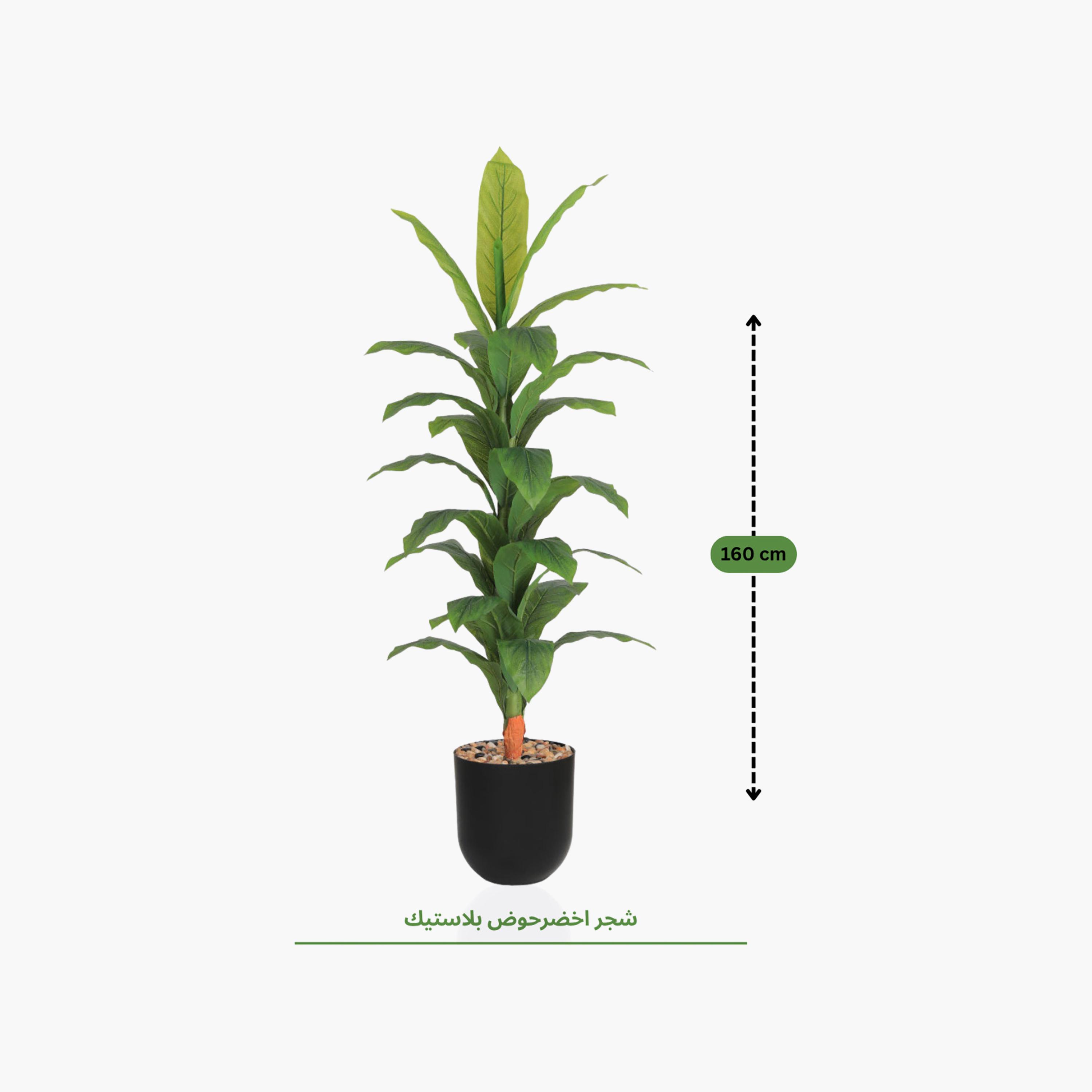 Maria Homes Potted Artificial Banana Plant-household-gardenandoutdoor-artificialflowersandplants-flowers-image-4