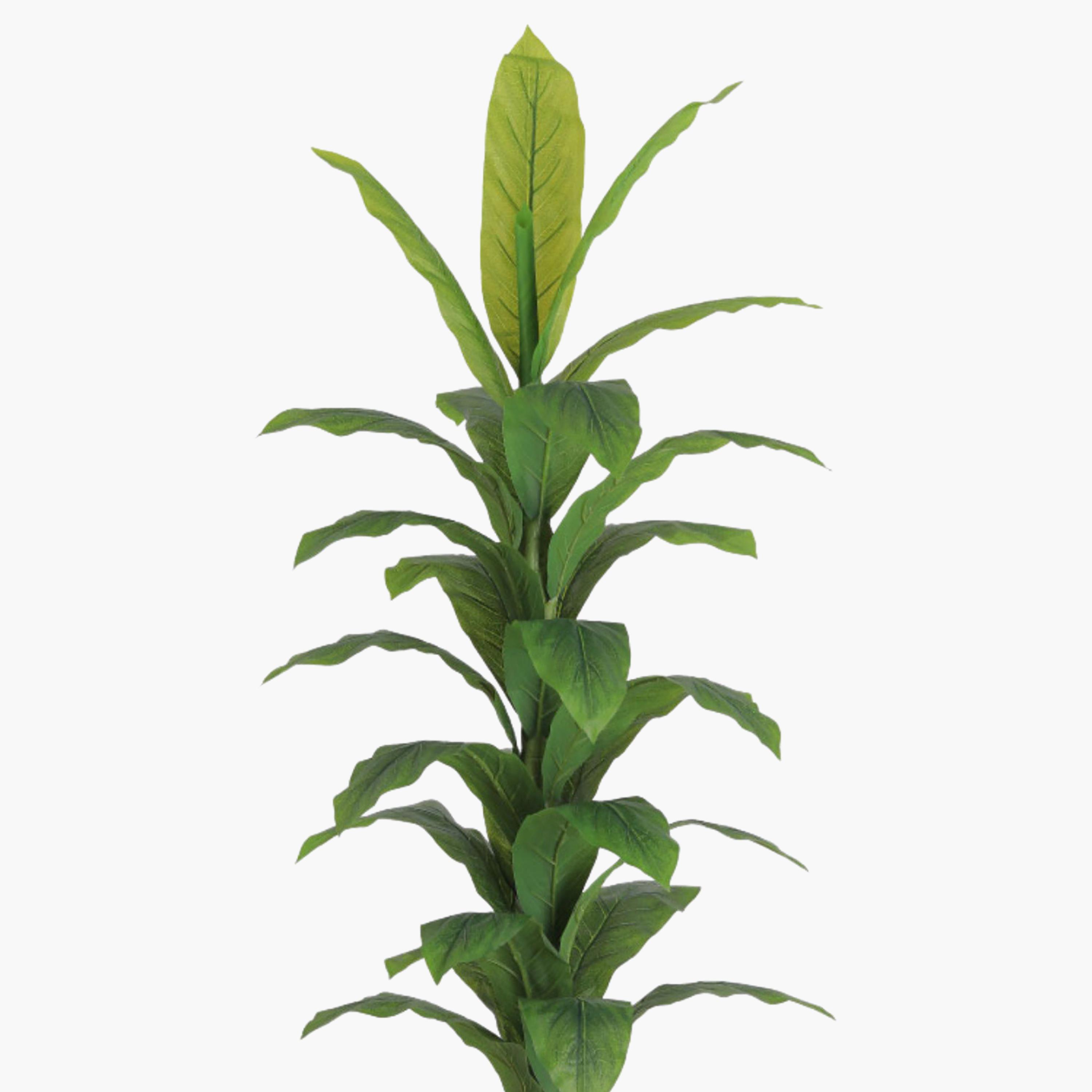 Maria Homes Potted Artificial Banana Plant-household-gardenandoutdoor-artificialflowersandplants-flowers-image-3