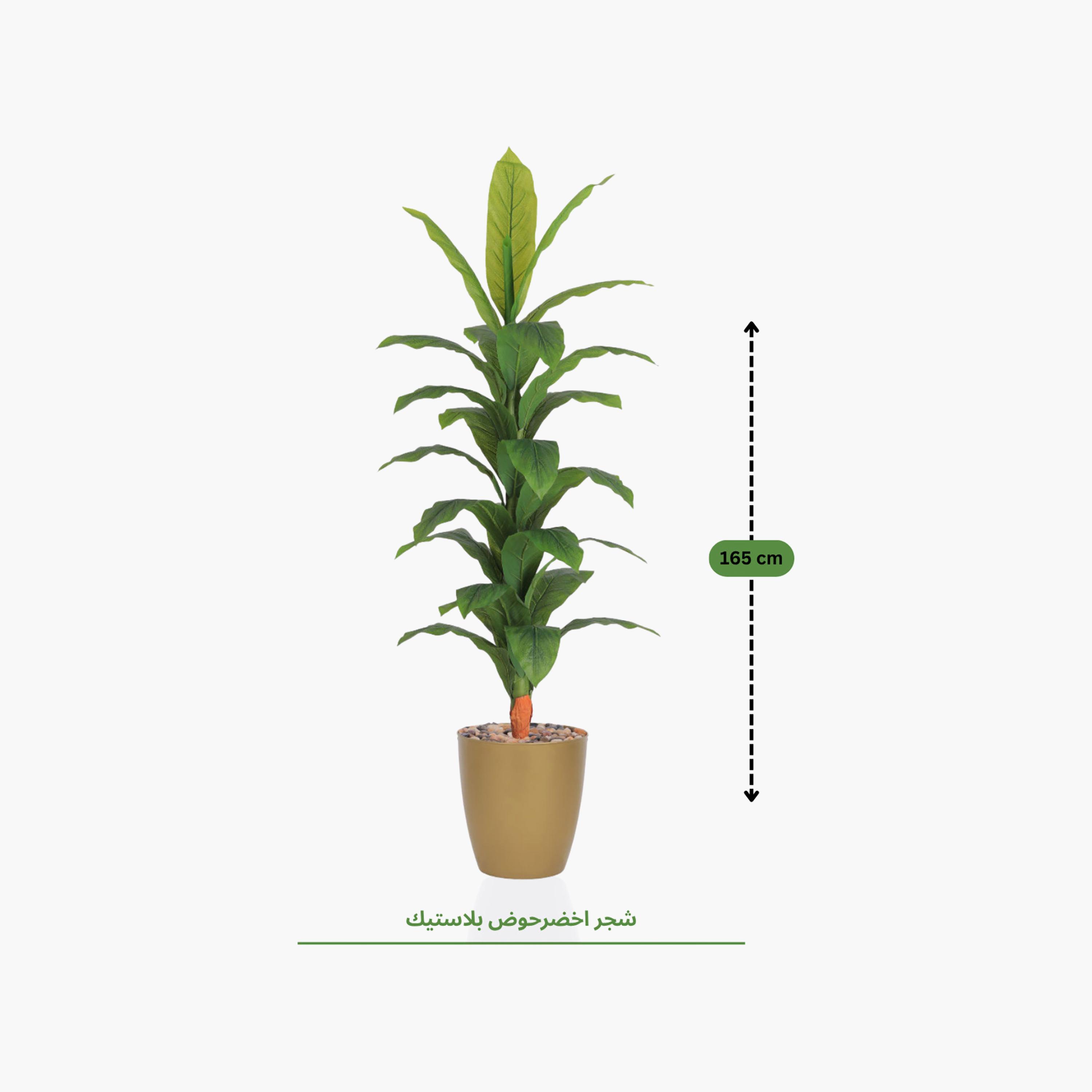 Maria Homes Potted Artificial Banana Plant-household-gardenandoutdoor-artificialflowersandplants-flowers-image-4
