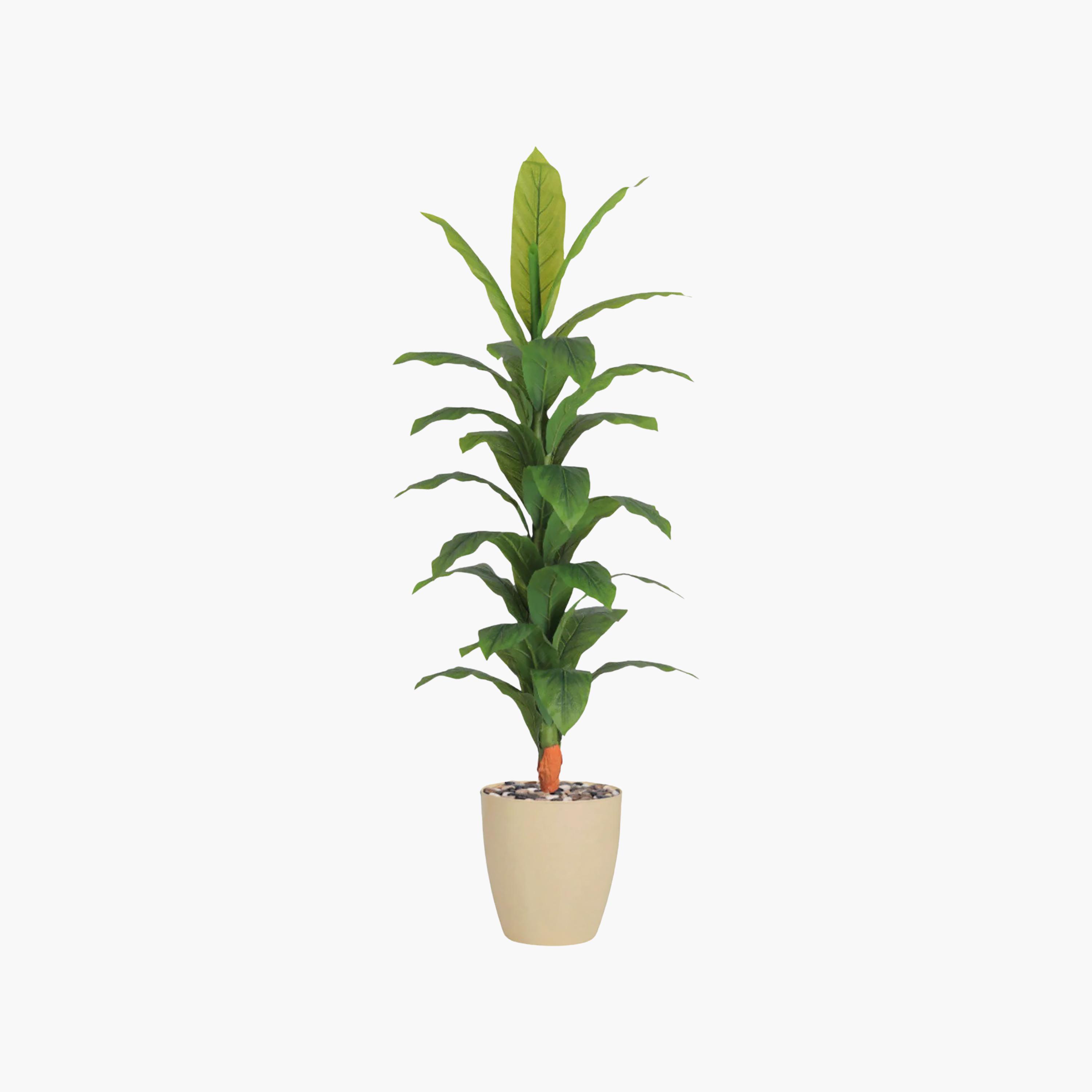 Maria Homes Potted Artificial Banana Plant-household-gardenandoutdoor-artificialflowersandplants-flowers-image-2