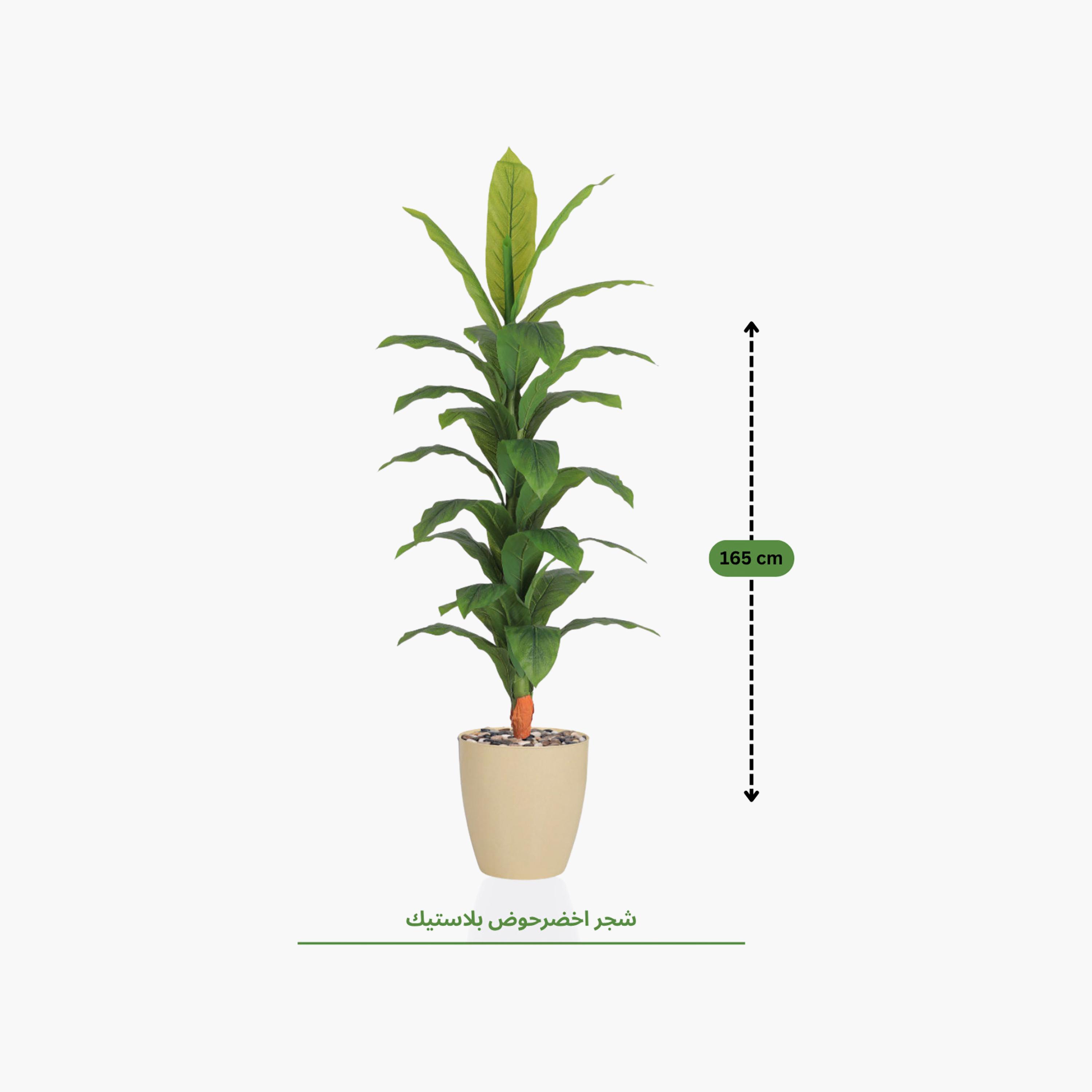 Maria Homes Potted Artificial Banana Plant-household-gardenandoutdoor-artificialflowersandplants-flowers-image-4