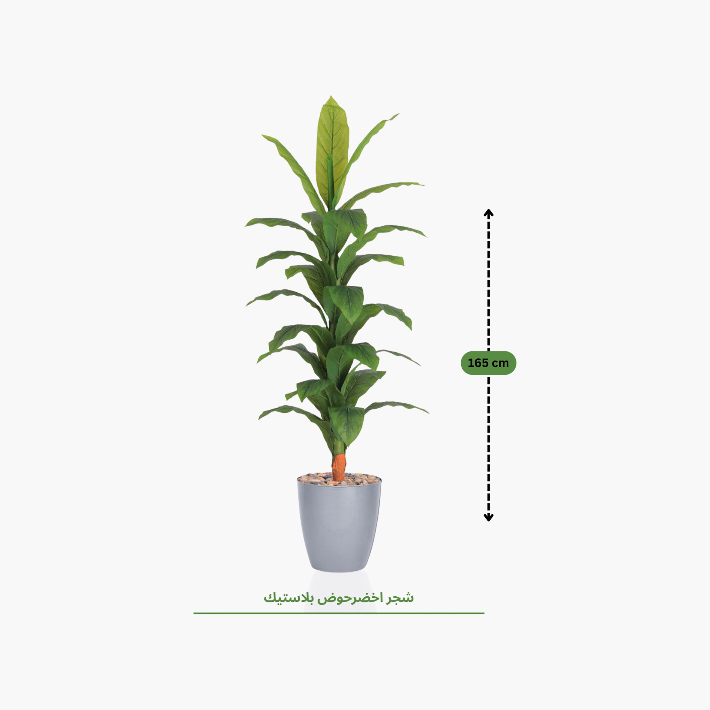Maria Homes Potted Artificial Banana Plant-household-gardenandoutdoor-artificialflowersandplants-flowers-image-4