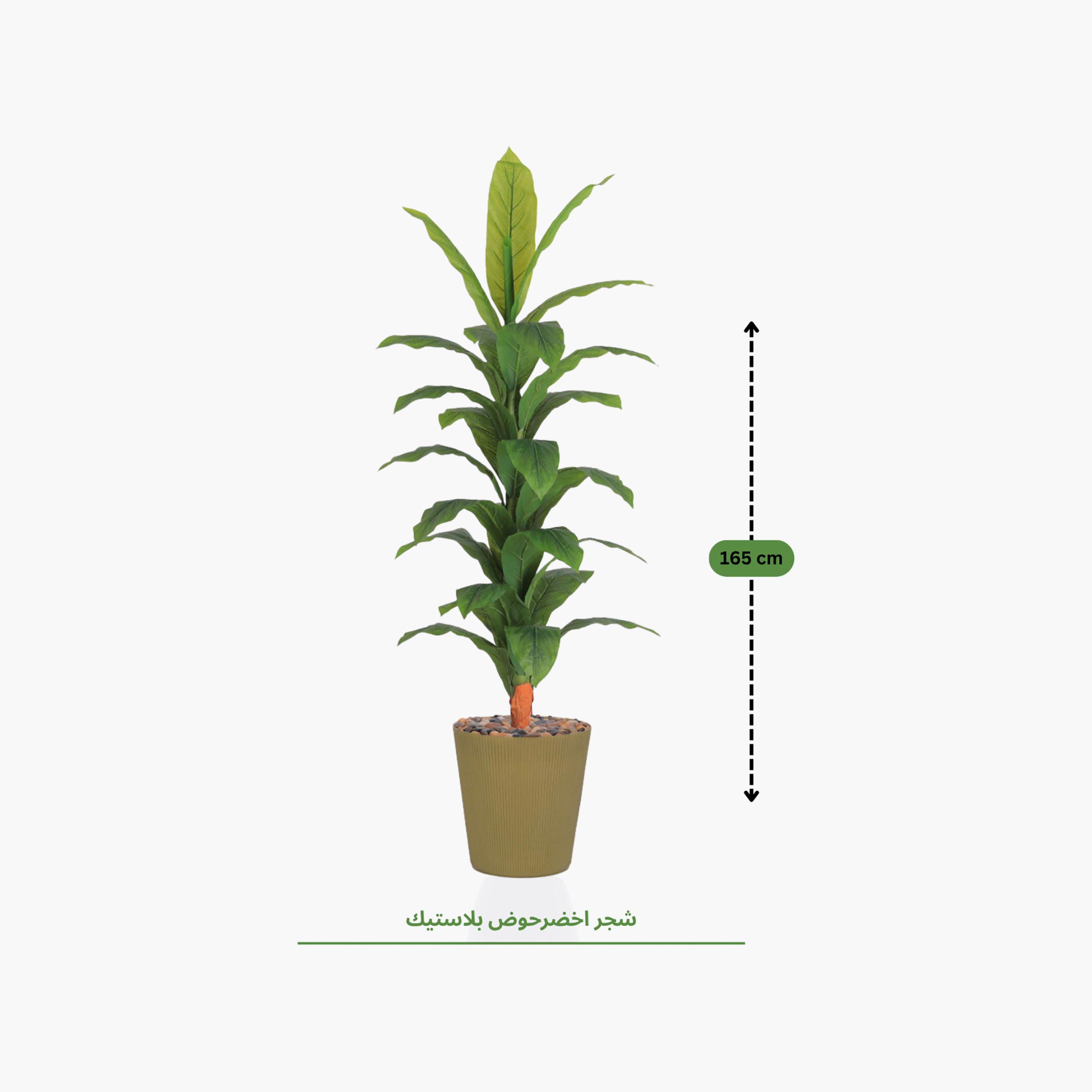 Maria Homes Potted Artificial Banana Plant-household-gardenandoutdoor-artificialflowersandplants-flowers-image-4