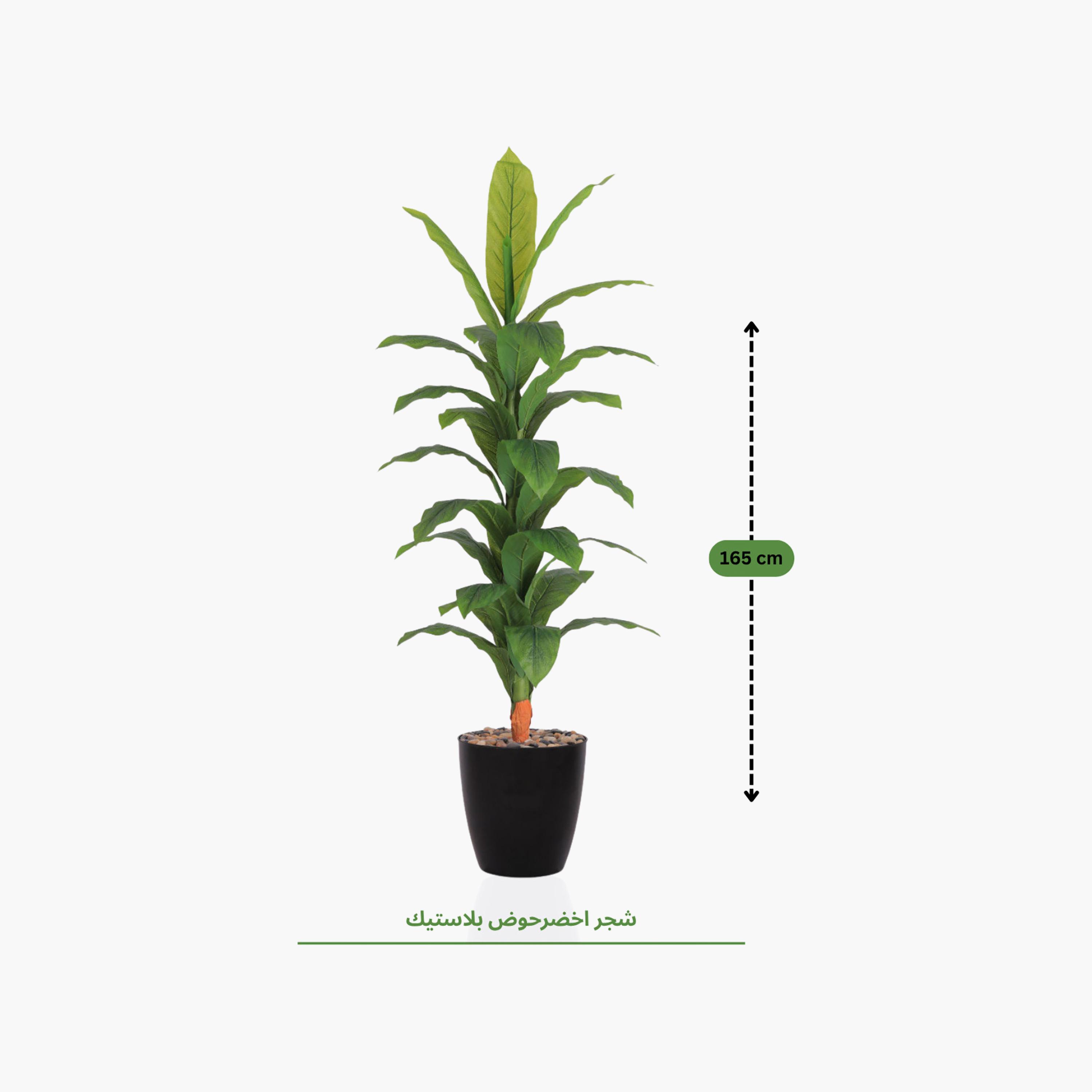 Maria Homes Potted Artificial Banana Plant-household-gardenandoutdoor-artificialflowersandplants-flowers-image-4