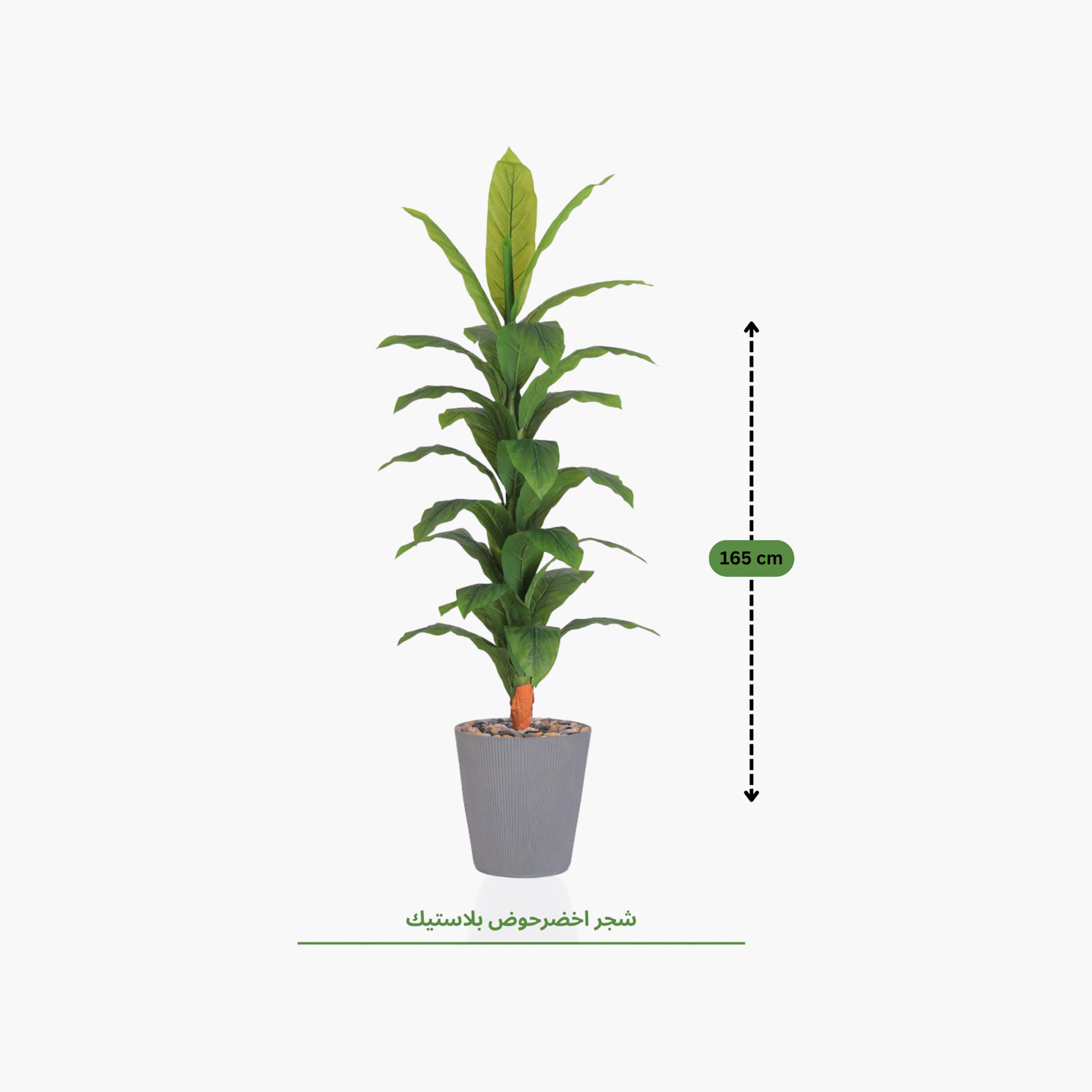Maria Homes Potted Artificial Banana Plant-household-gardenandoutdoor-artificialflowersandplants-flowers-image-4