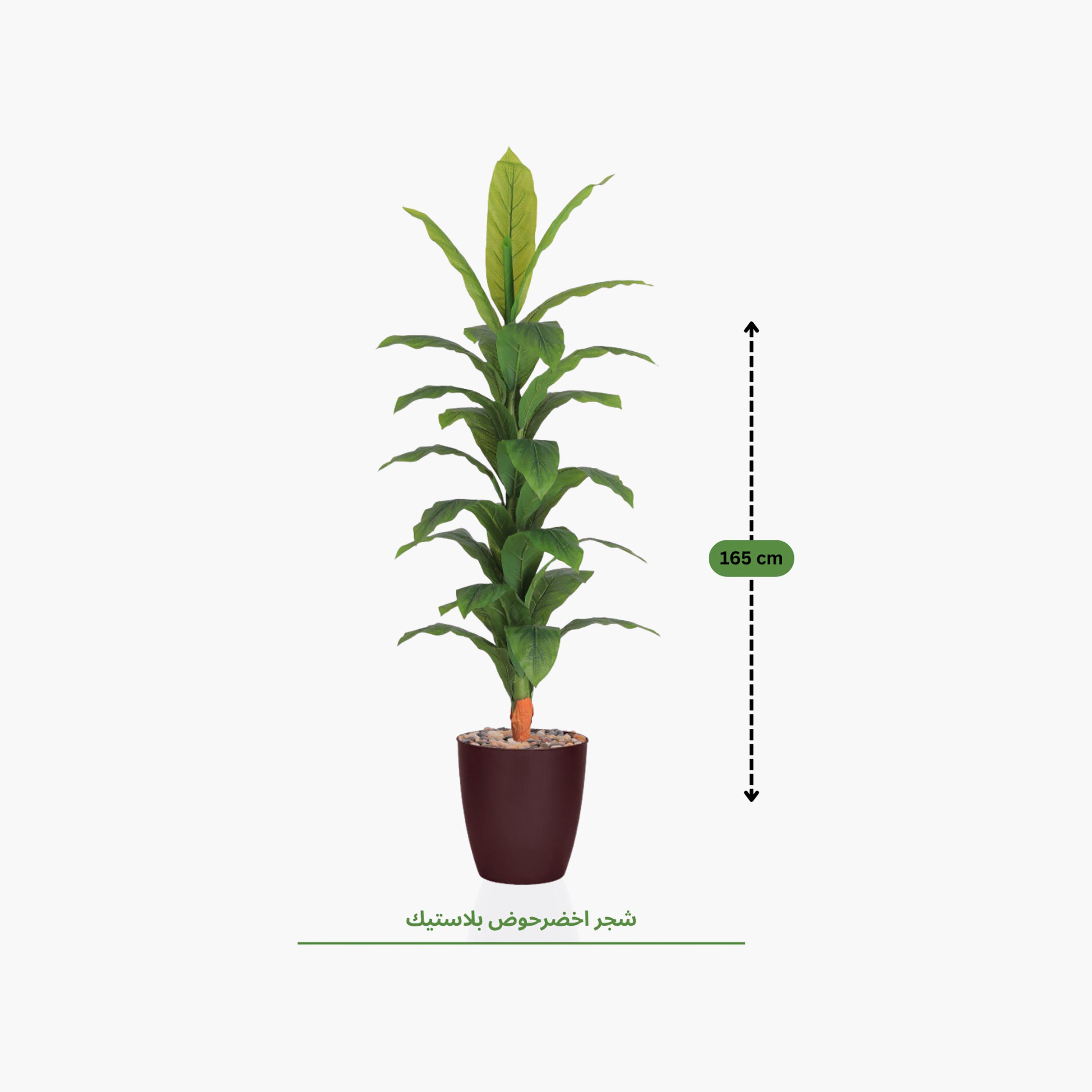 Maria Homes Potted Artificial Banana Plant-household-gardenandoutdoor-artificialflowersandplants-flowers-image-4