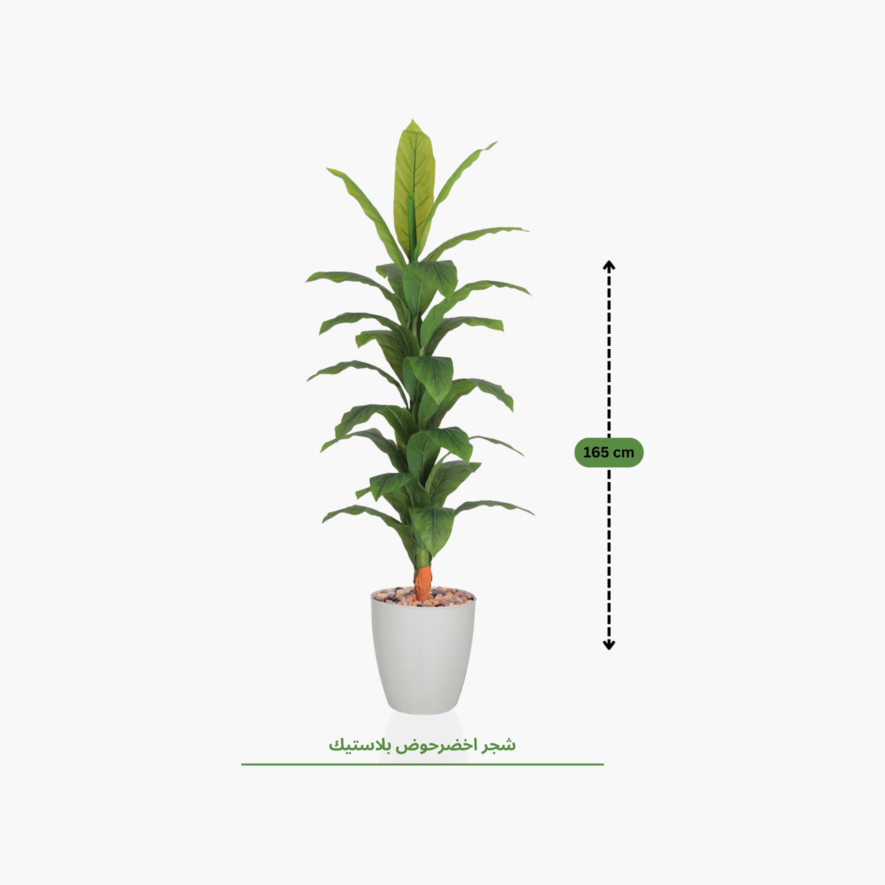 Maria Homes Potted Artificial Banana Plant-household-gardenandoutdoor-artificialflowersandplants-flowers-image-4