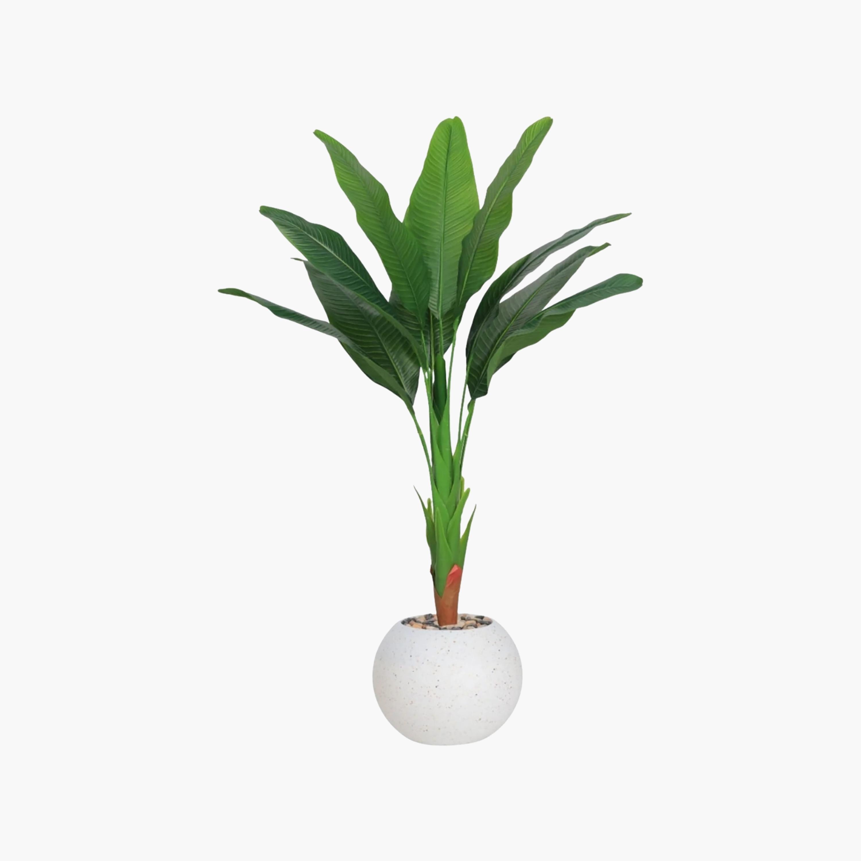 نبتة عصفور الجنة صناعية في أصيص من ماريا هومز-household-gardenandoutdoor-artificialflowersandplants-flowers-image-2