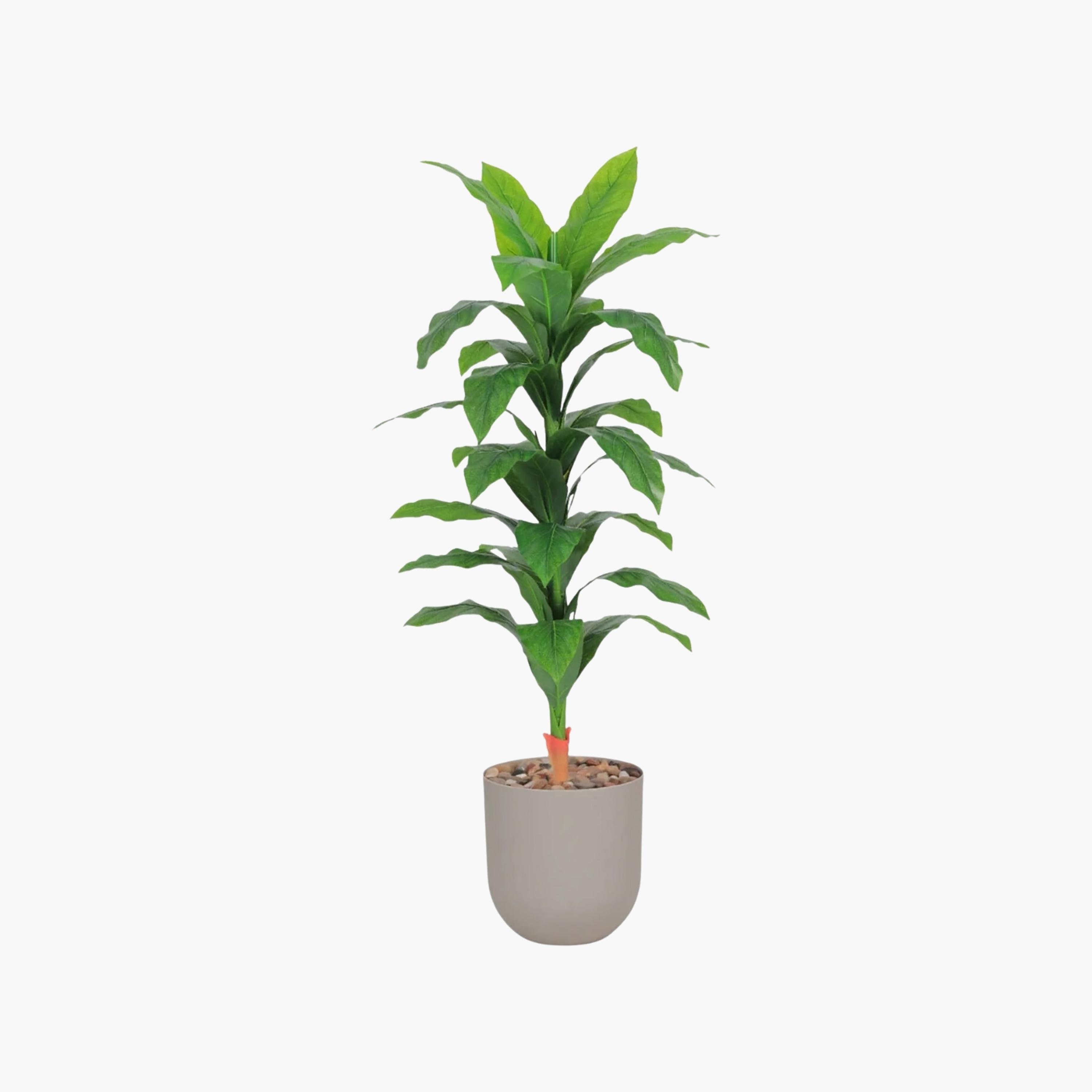 نبات صناعي بأوراق الذرة في أصيص من ماريا هومز-household-gardenandoutdoor-artificialflowersandplants-flowers-image-2