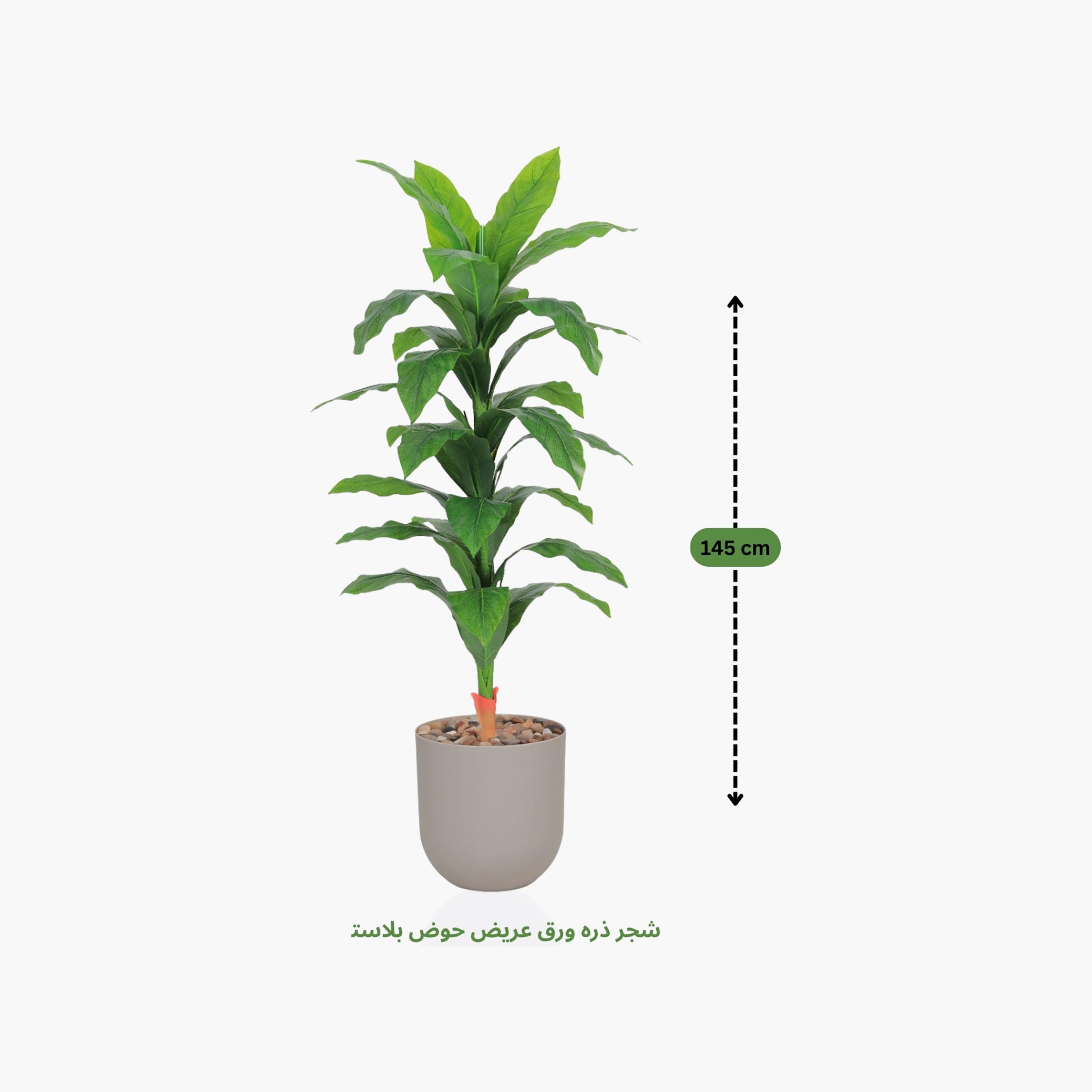 نبات صناعي بأوراق الذرة في أصيص من ماريا هومز-household-gardenandoutdoor-artificialflowersandplants-flowers-image-4